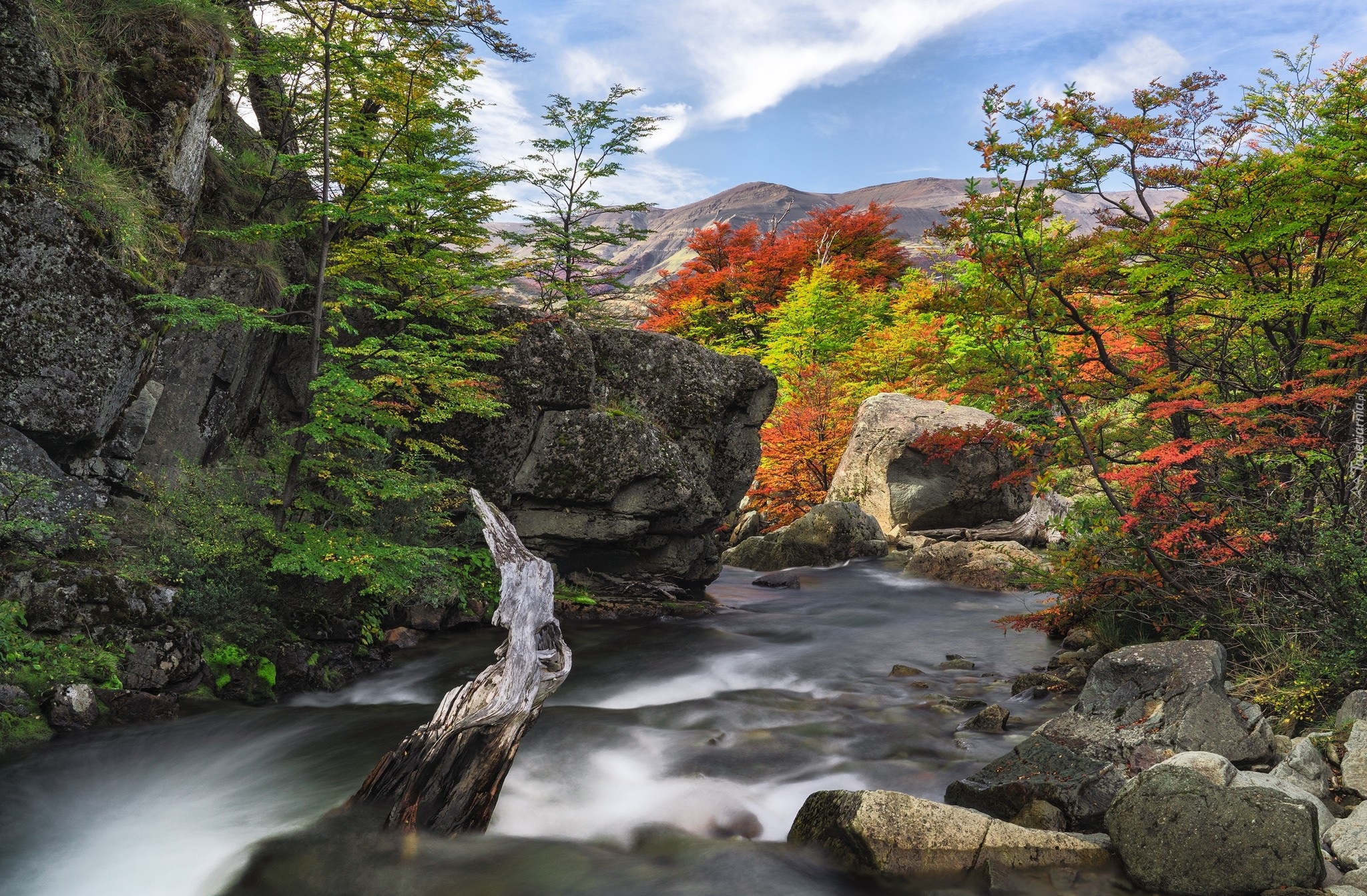 Chile, Patagonia, Cascada del Rio Paine, Rzeka, Góry, Skały, Drzewa