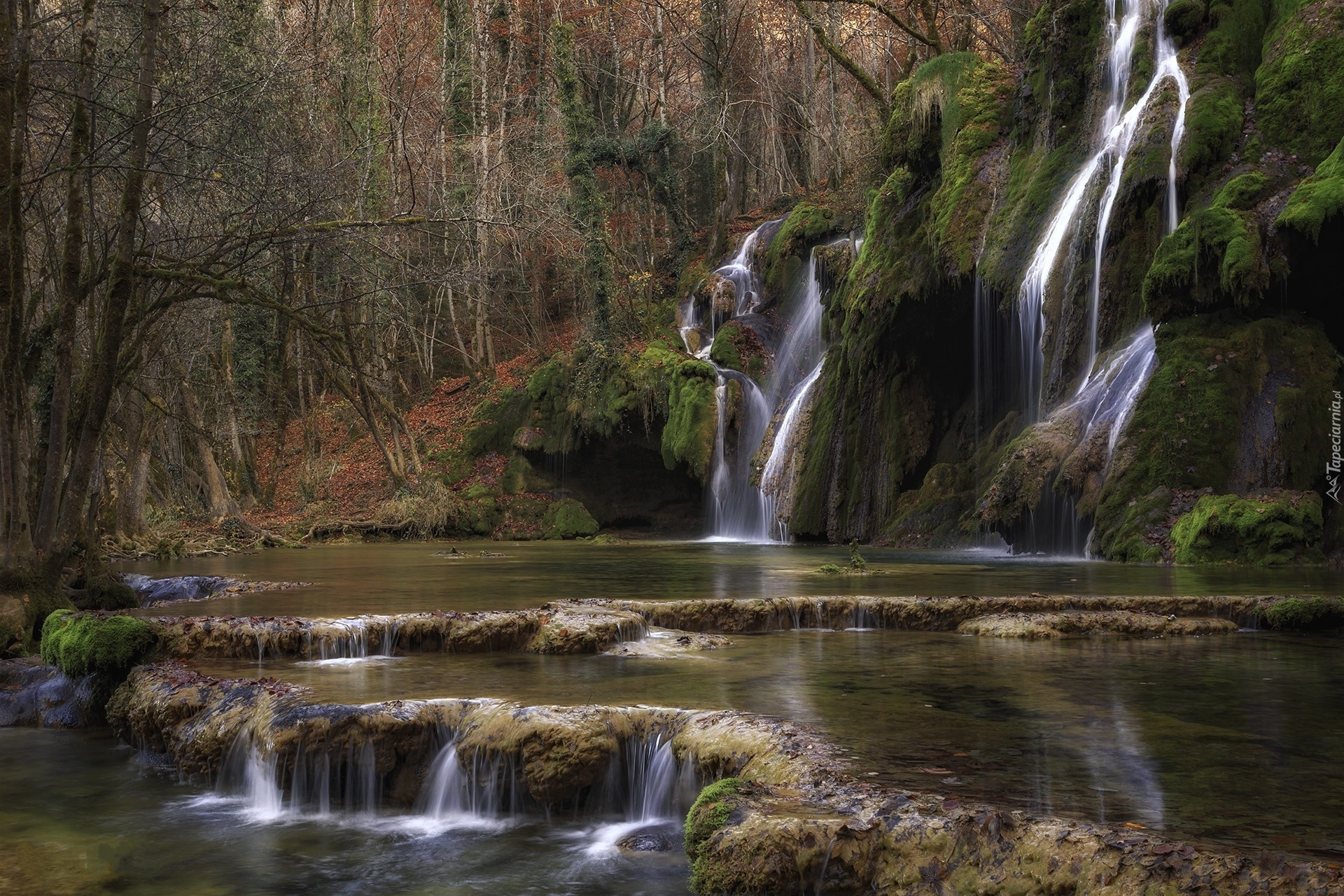 Wodospad, Kaskada, Cascade des tufs, Rzeka, Las, Miejscowość Baume Les Messieurs, Departament Jura, Francja