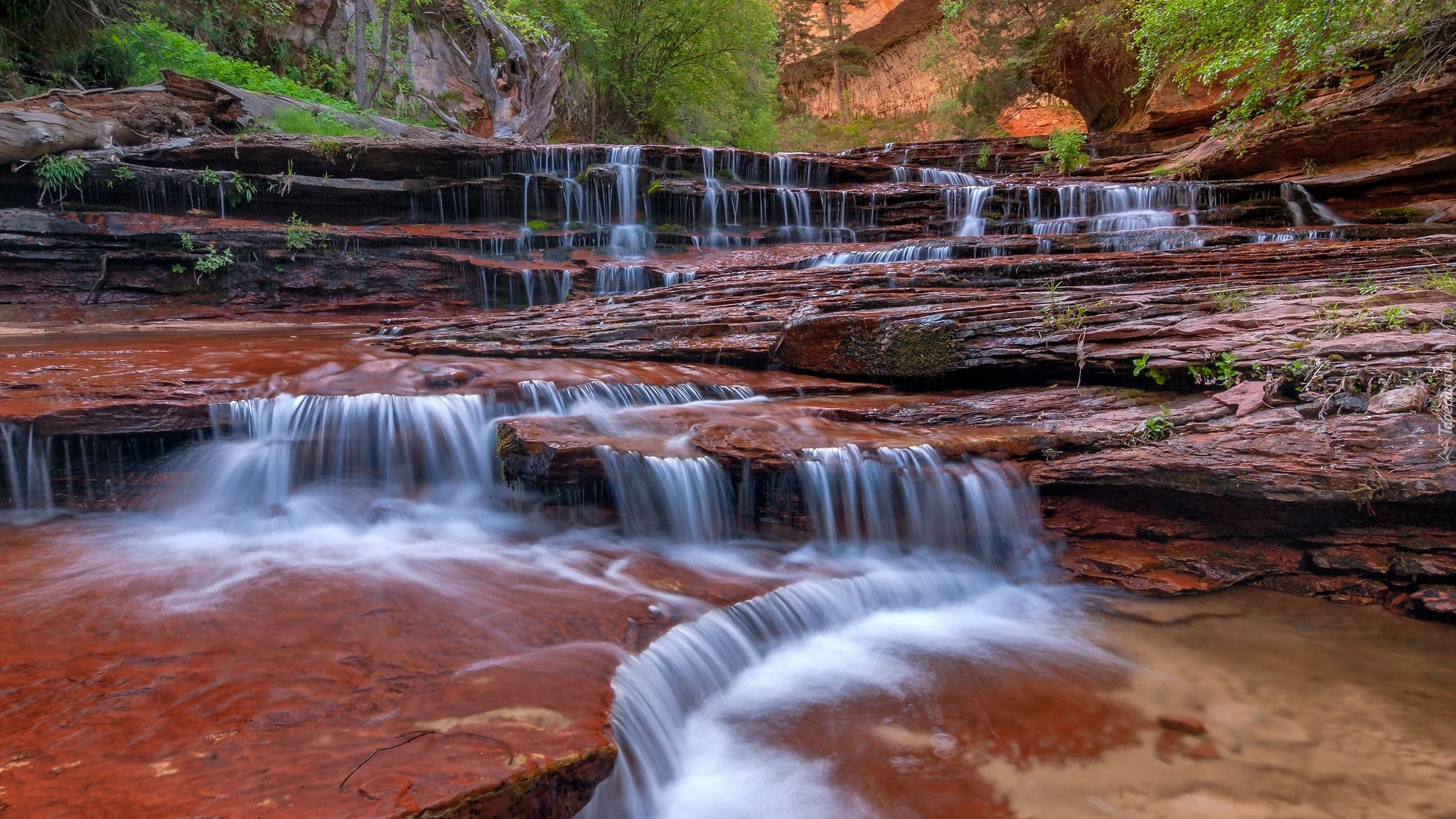 Skały, Wodospad, Cascade Falls, Kaskada, Park Narodowy Zion, Stan Utah, Stany Zjednoczone