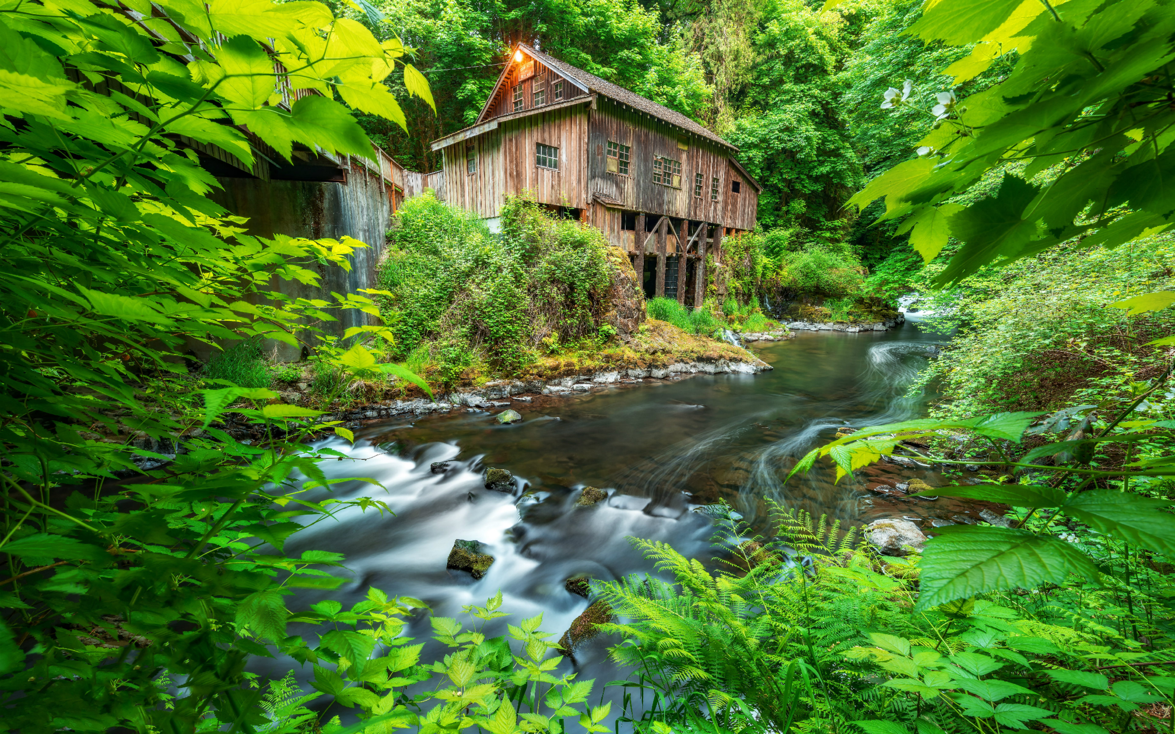 Młyn, Cedar Creek Grist Mill, Rzeka, Drzewa, Las, Woodland, Stan Waszyngton, Stany Zjednoczone