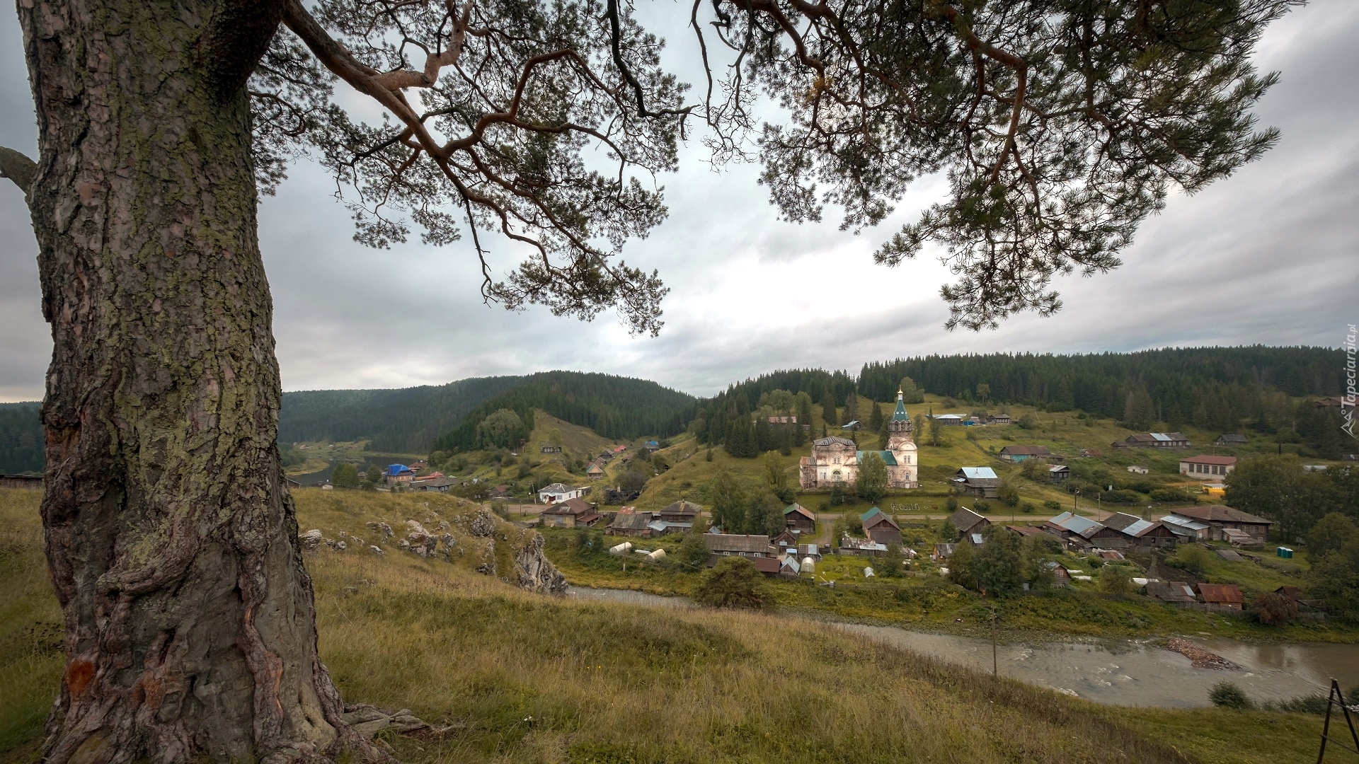 Wieś Kyn, Rzeka Czusowaja, Cerkiew, Domy, Drzewo, Cedr, Kraj Permski, Rosja