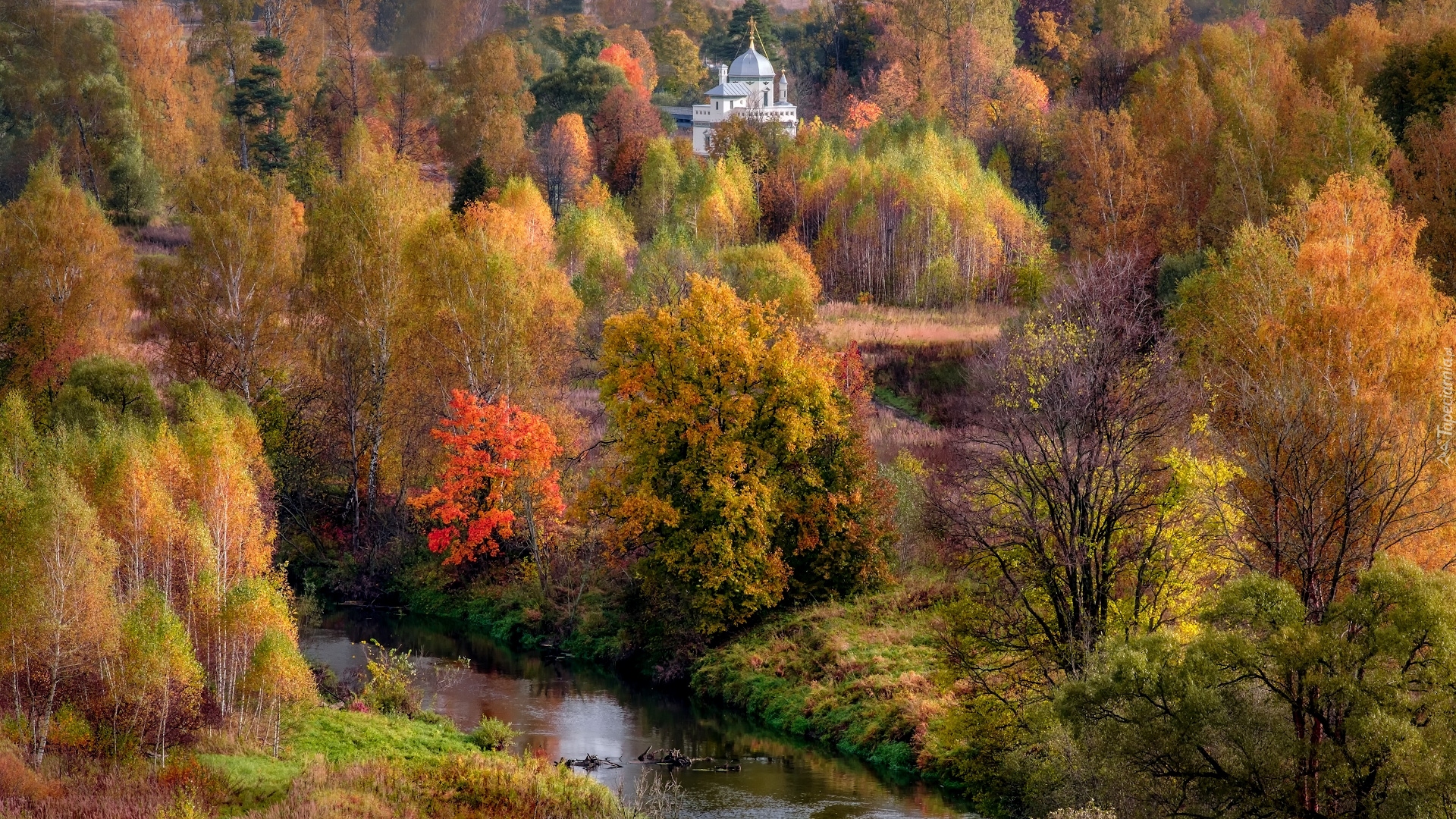 Las, Jesień, Drzewa, Rzeka, Cerkiew