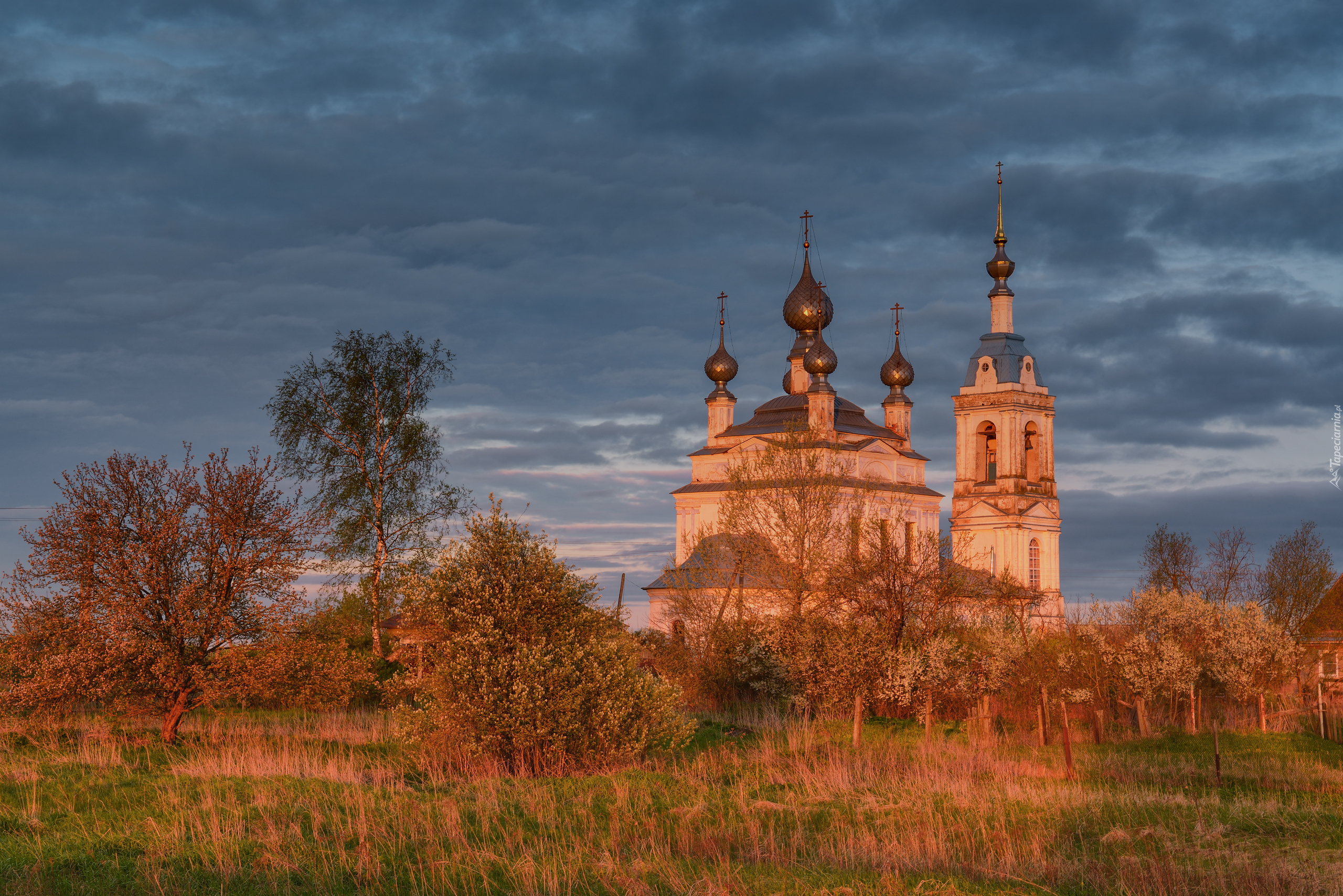 Cerkiew, Drzewa, Rośliny, Chmury, Savinskoye, Obwód jarosławski, Rosja