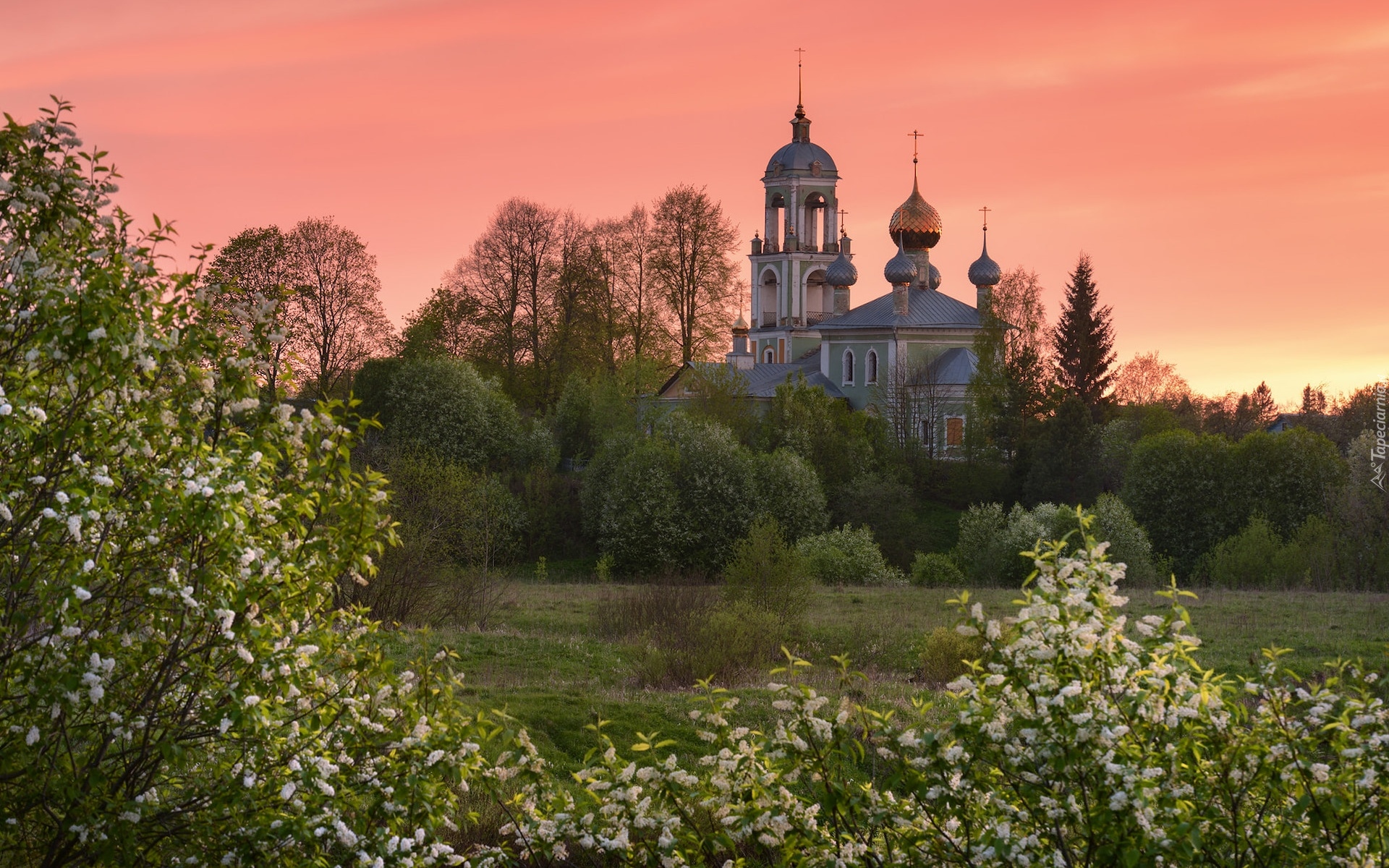 Wiosna, Cerkiew, Krzewy, Kwiaty, Drzewa, Łąka, Debolovskoye, Obwód jarosławski, Rosja