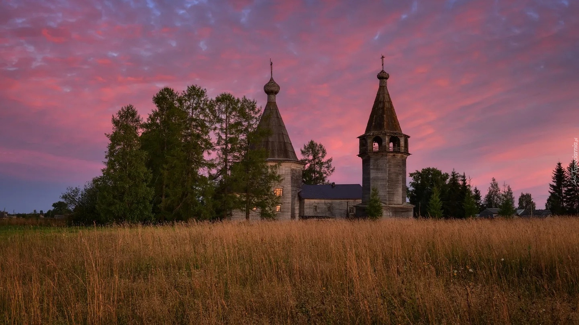 Cerkiew, Drzewa, Łąka, Obwód archangielski, Rosja