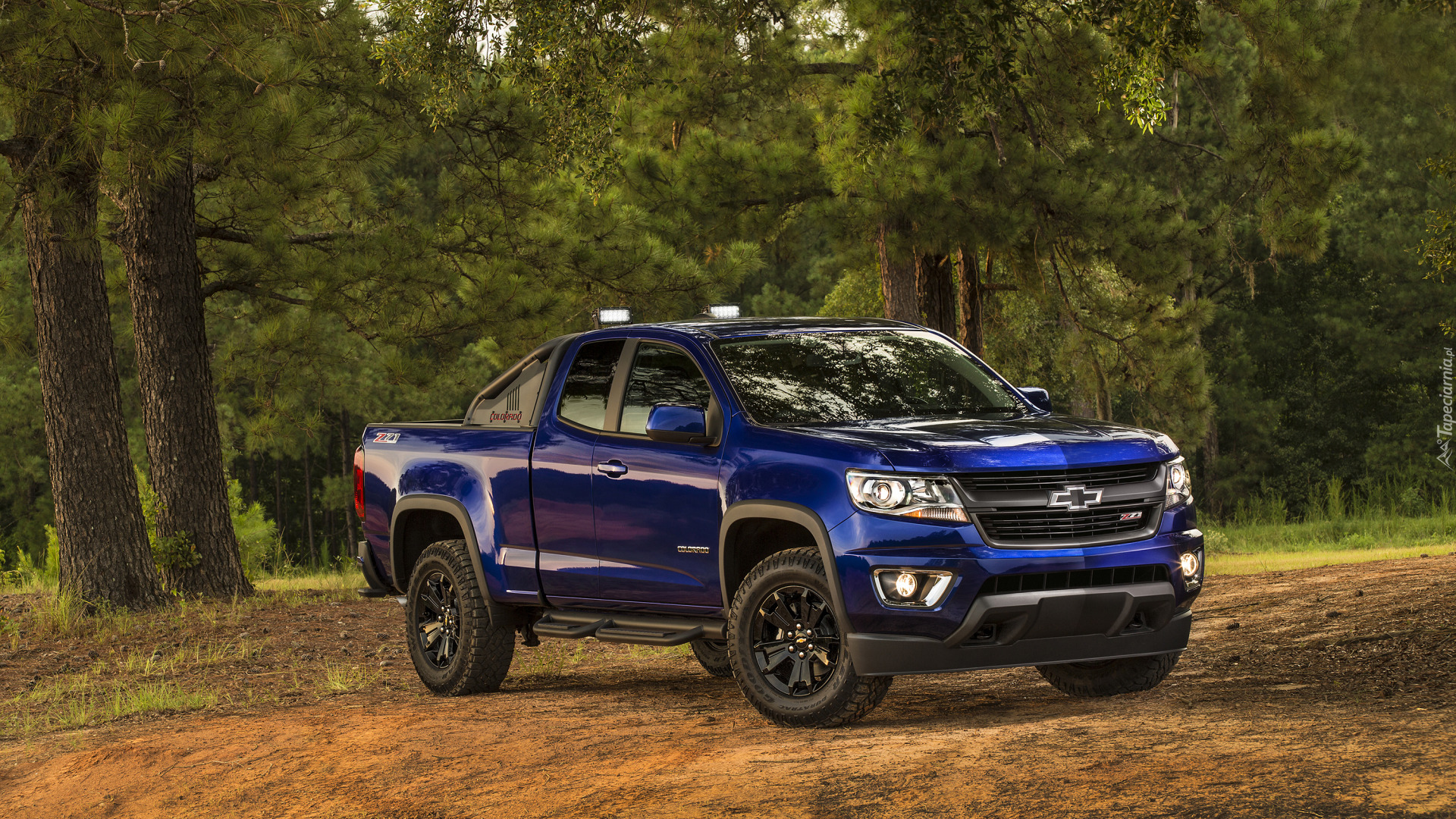 Niebieski, Chevrolet Colorado Z71, 2017, Drzewa, Las