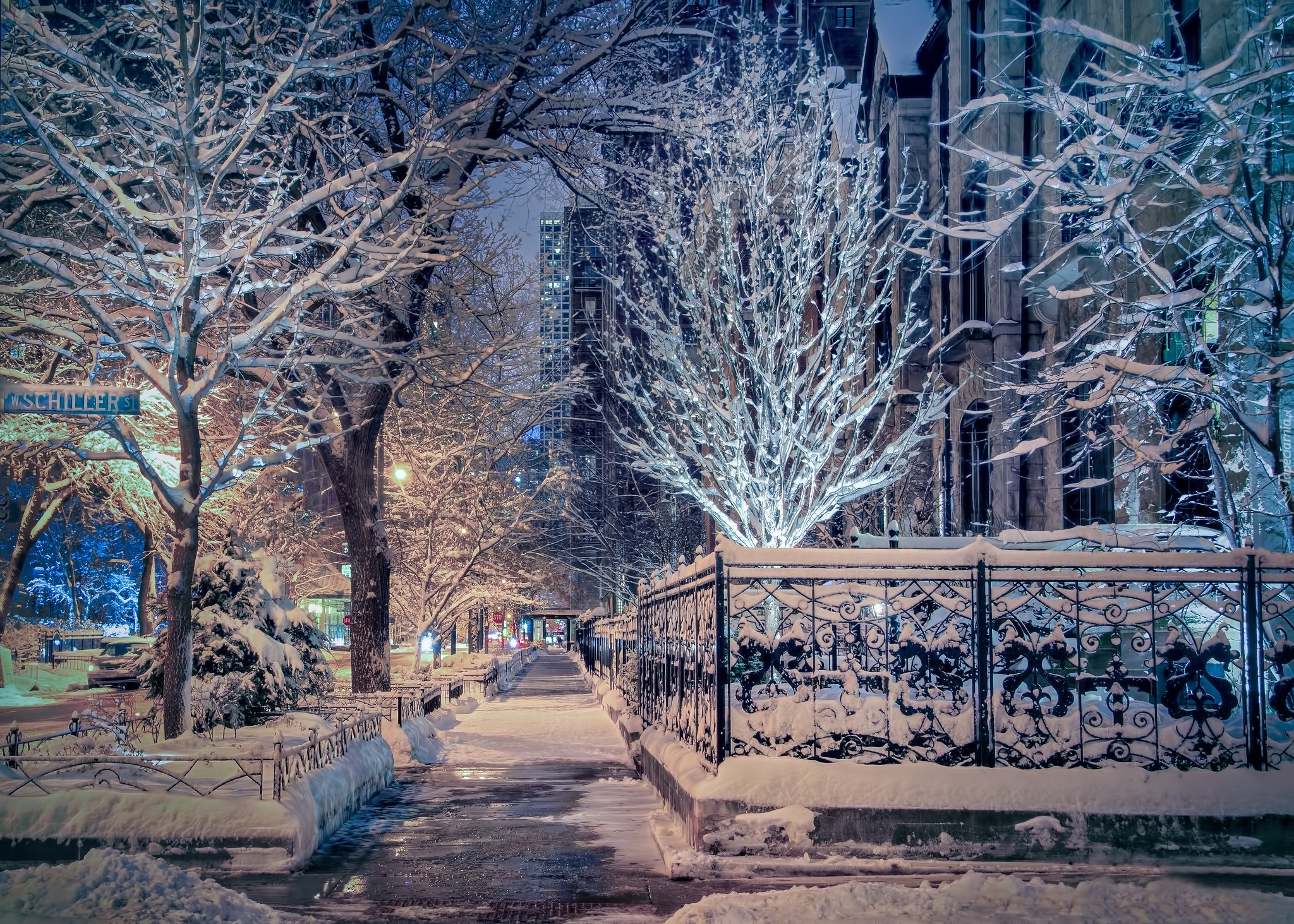 Chicago, Stany Zjednoczone, Ulica, Zima, Śnieg, Ośnieżone, Drzewa, Płot