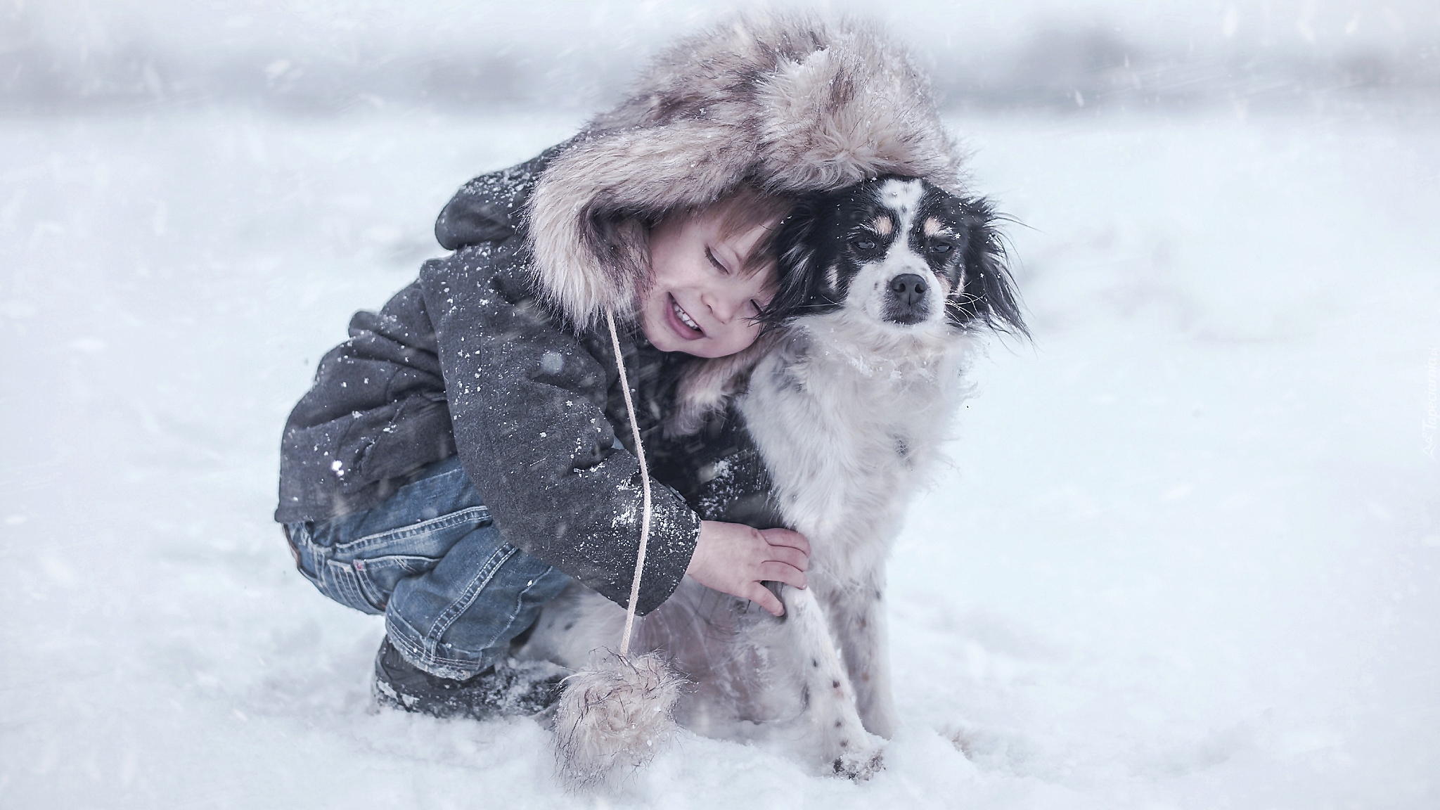Pies, Chłopczyk, Zima, Śnieg, Radość