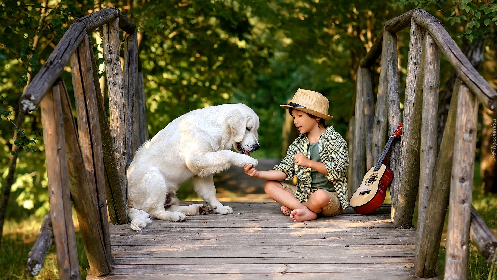 Chłopiec, Pies, Labrador retriever, Kładka, Mostek, Gitara