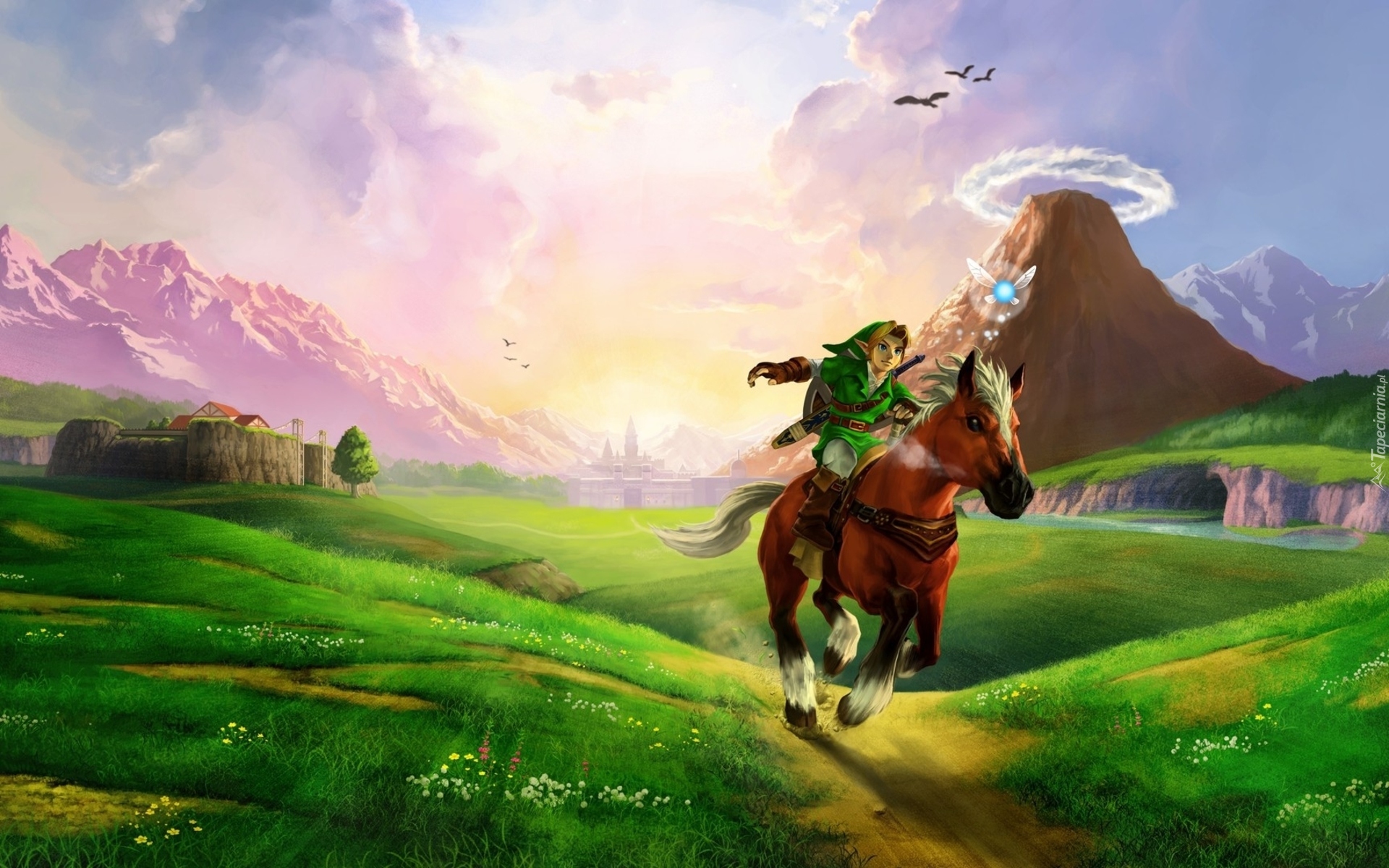 Gra, The Legend of Zelda, Chłopiec, Koń