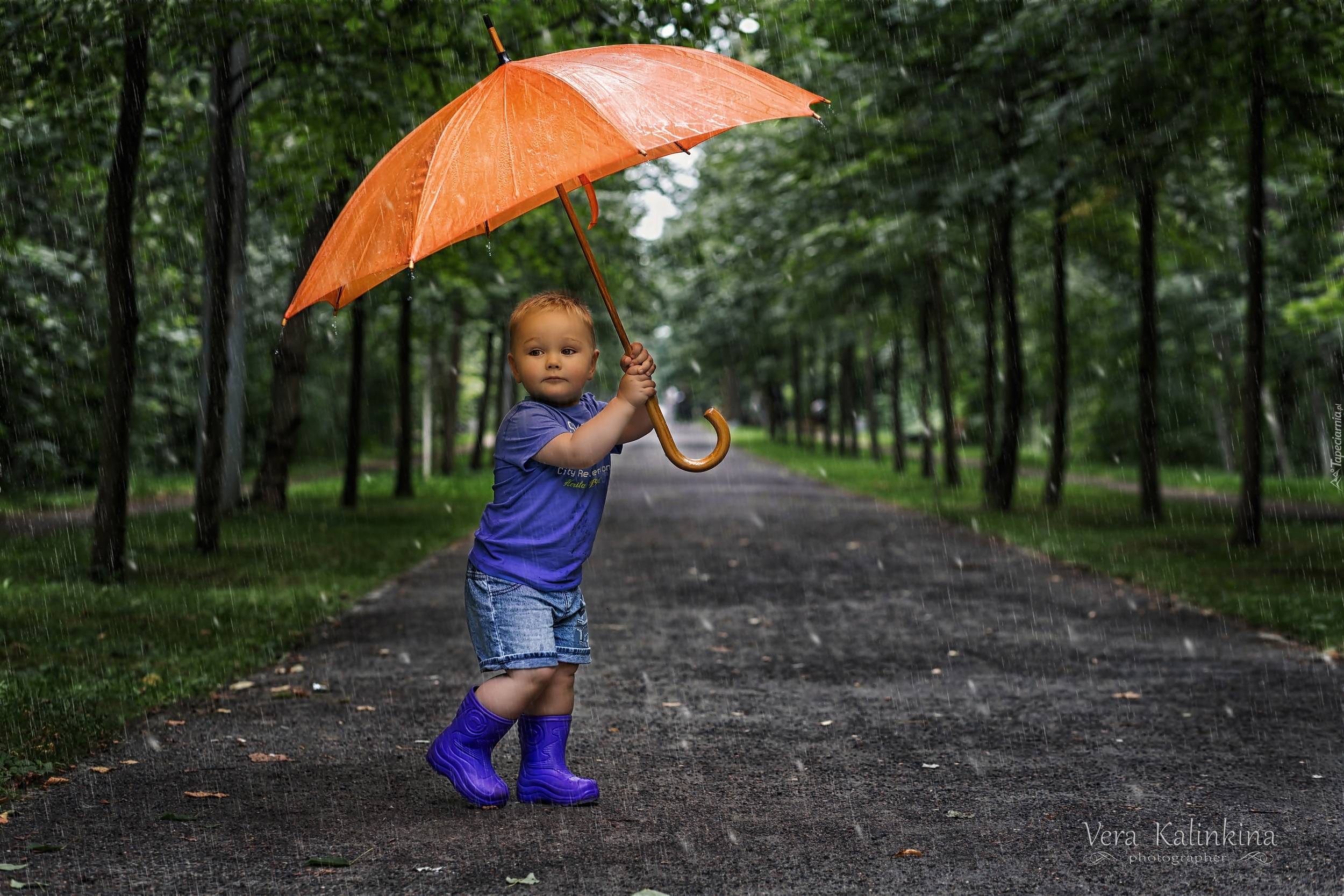 Dziecko, Parasol, Drzewa, Droga, Deszcz