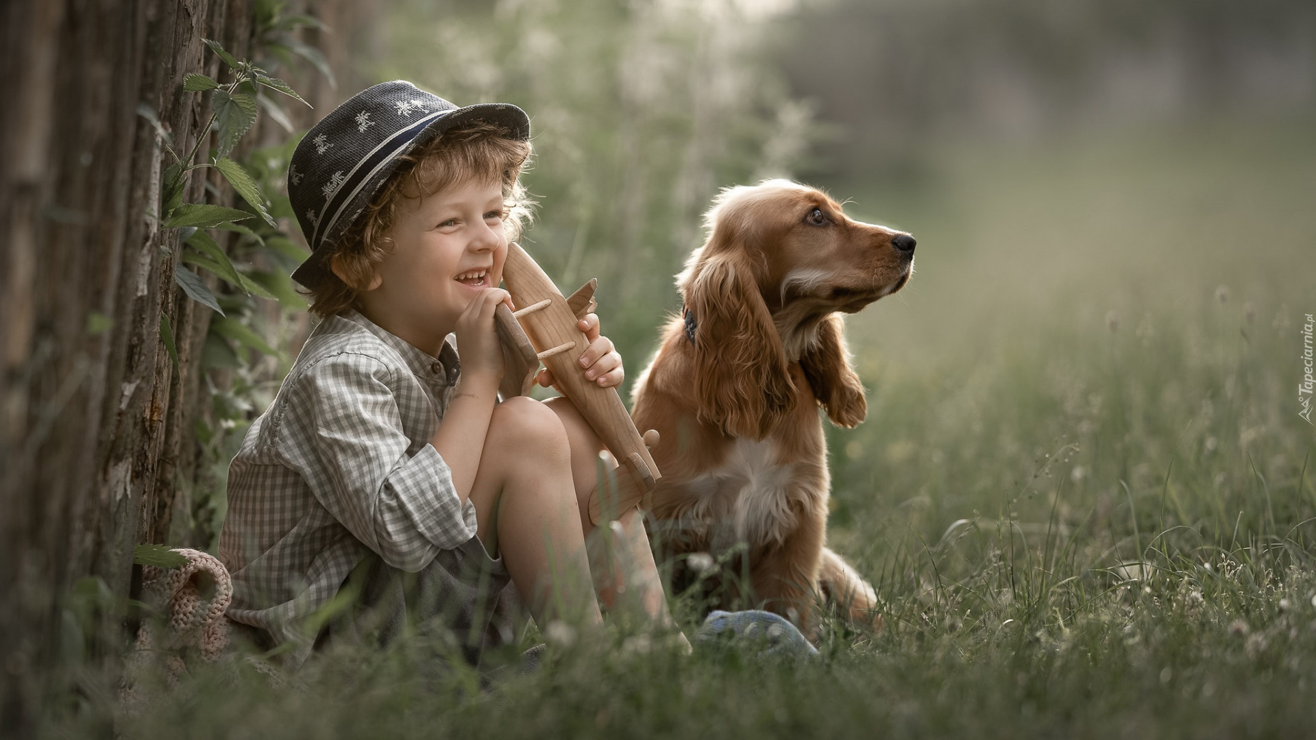 Chłopiec, Pies, Cocker spaniel angielski