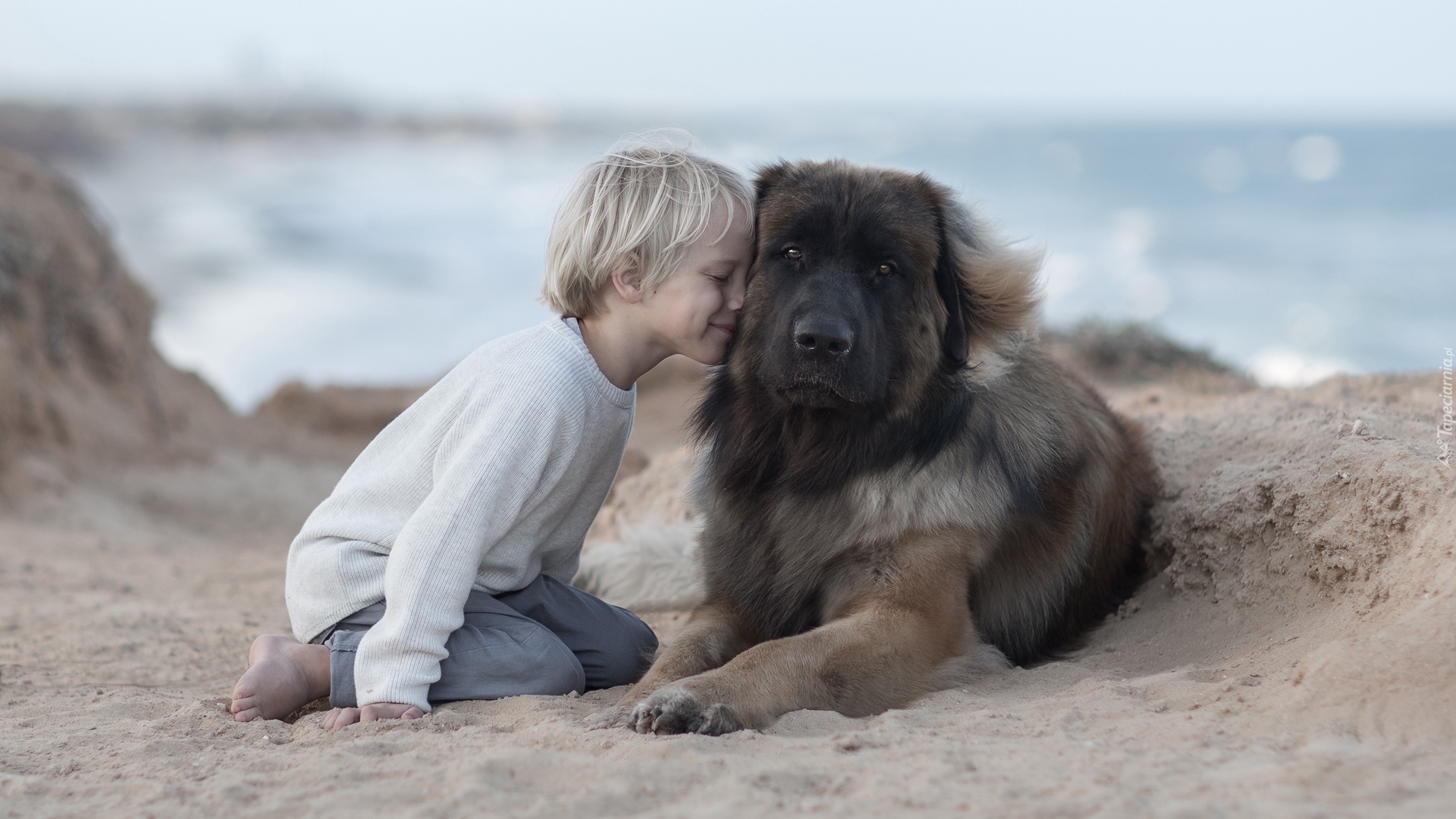 Dziecko, Chłopiec, Pies, Leonberger, Przyjaciela, Plaża, Piasek