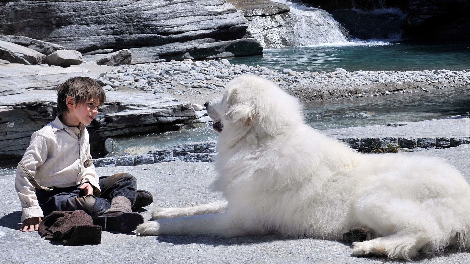 Film, Bella i Sebastian, Dziecko, Félix Bossuet, Pirenejski pies górski, Rzeka, Kamienie