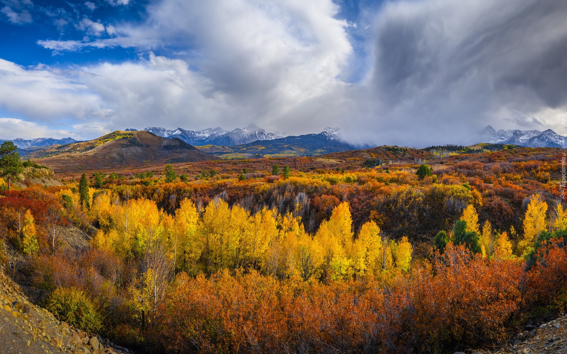 Góry, San Juan Mountains, Przełęcz, Dallas Divide, Las, Jesień, Drzewa, Chmury, Kolorado, Stany Zjednoczone