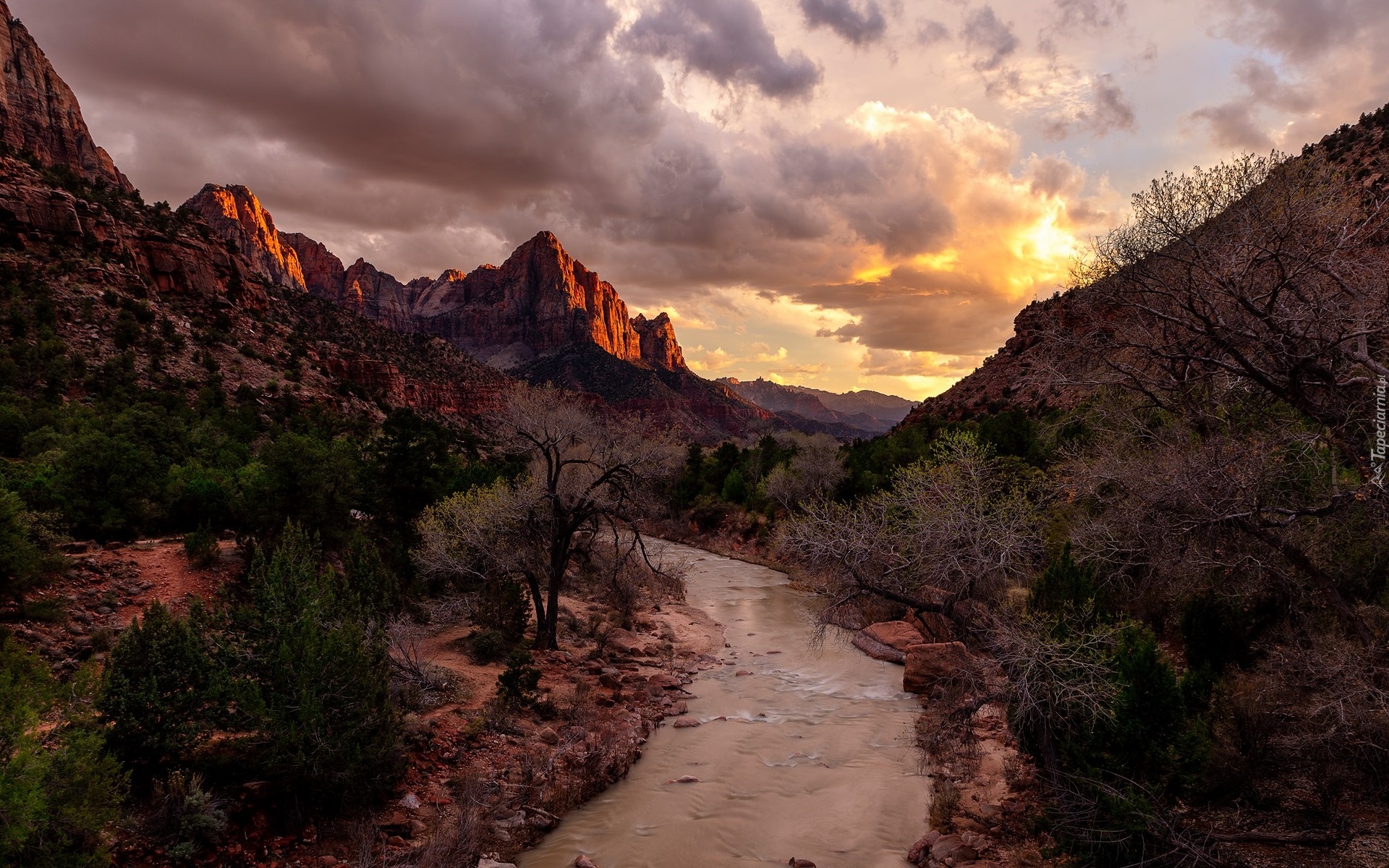 Park Narodowy Zion, Utah, Rzeka, Kamienie, Drzewa, Góra Watchman, Rzeka Virgin River, Skały, Zachód słońca, Chmury, Stany Zjednoczone