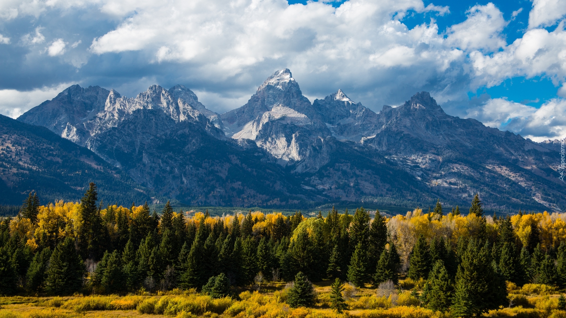 Stany Zjednoczone, Utah, Park Narodowy Grand Teton, Góry, Chmury, Las, Drzewa, Jesień