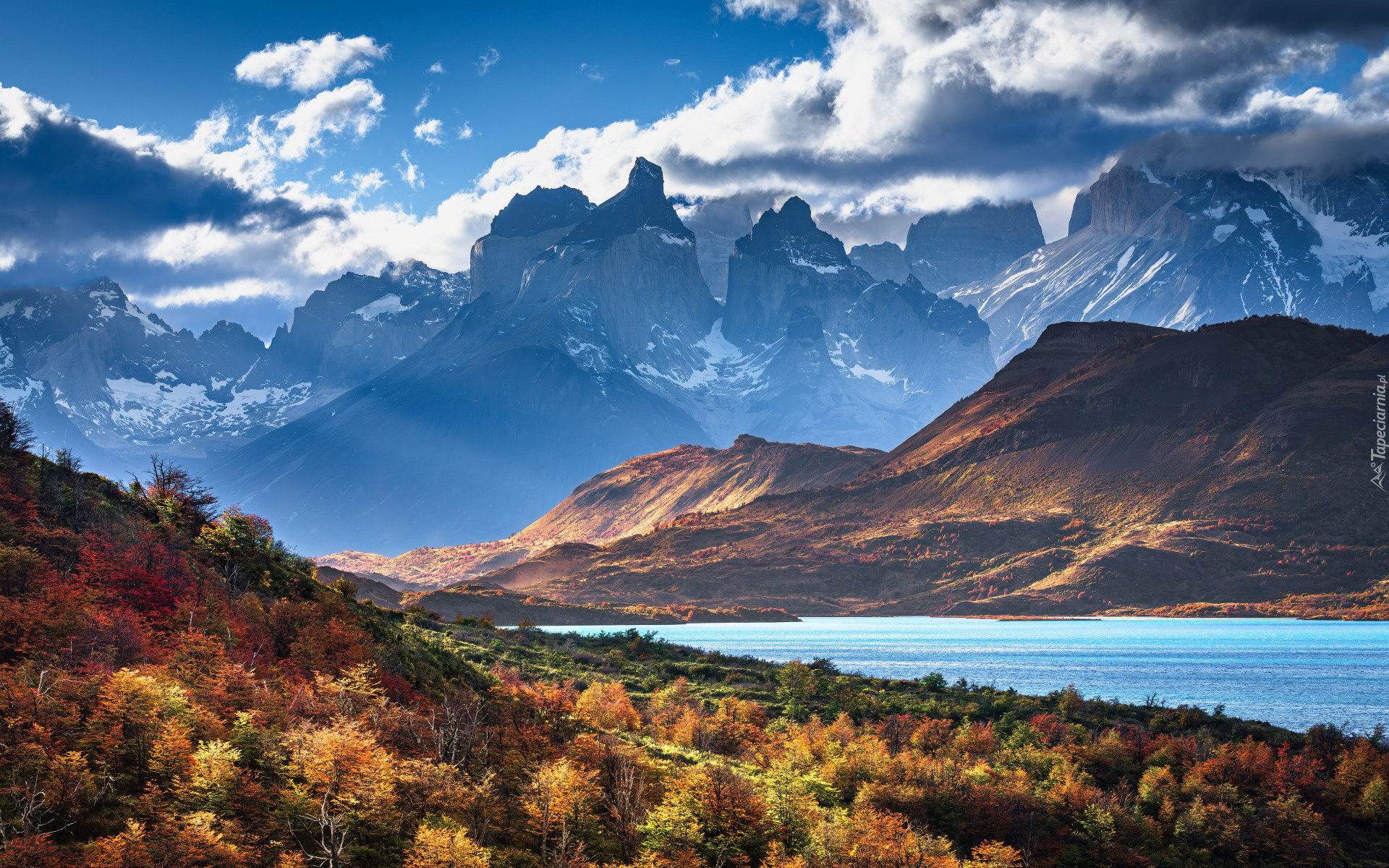 Góry, Torres del Paine, Jezioro, Pehoe Lake, Chmury, Roślinność, Chile, Patagonia, Ameryka Południowa