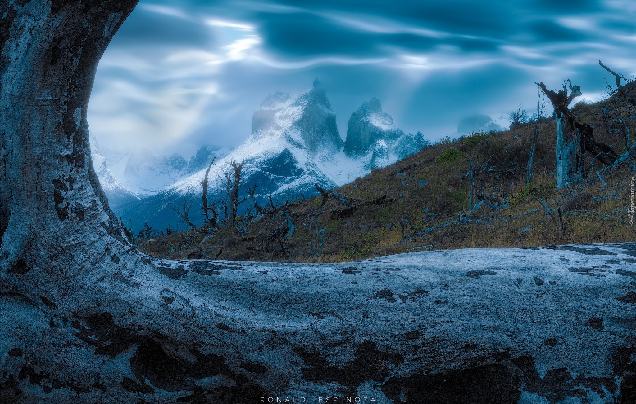 Park Narodowy Torres del Paine, Chile, Drzewo, Góry