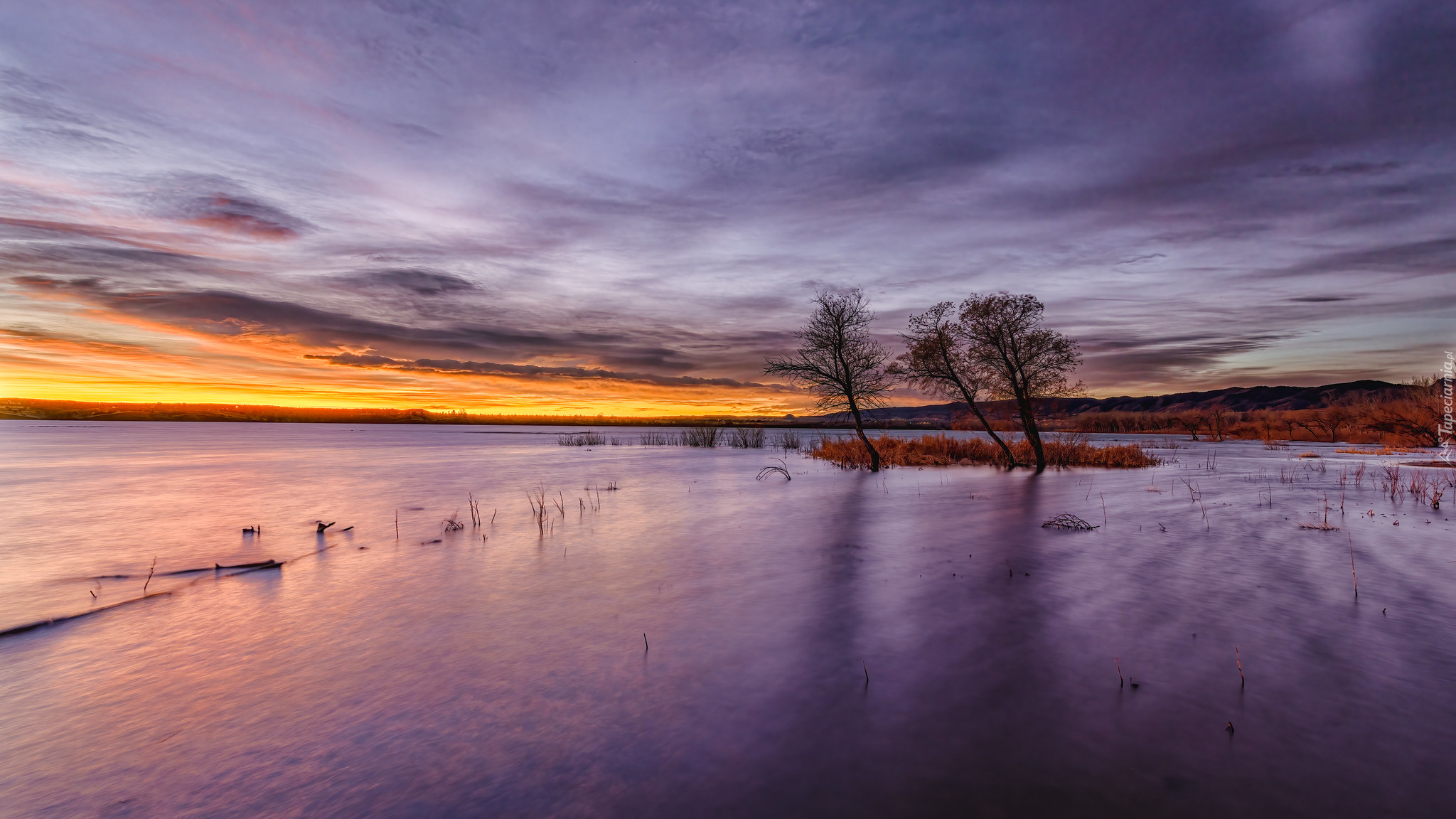 Stany Zjednoczone, Kolorado, Chatfield State Park, Jezioro, Chatfield Lake, Drzewa, Chmury, Wschód słońca