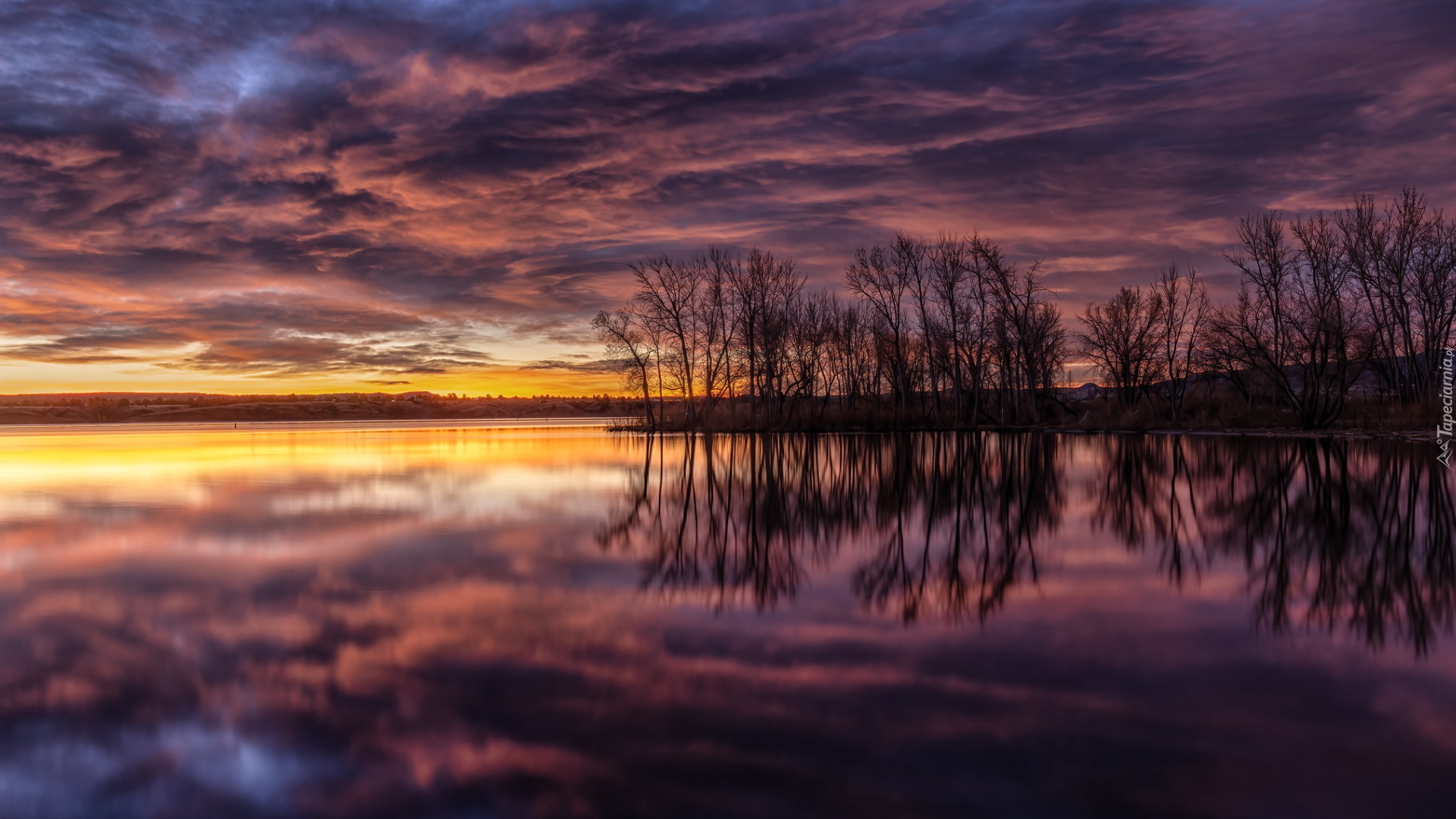 Jezioro, Lake Chatfield, Wschód słońca, Drzewa, Kolorado, Stany Zjednoczone