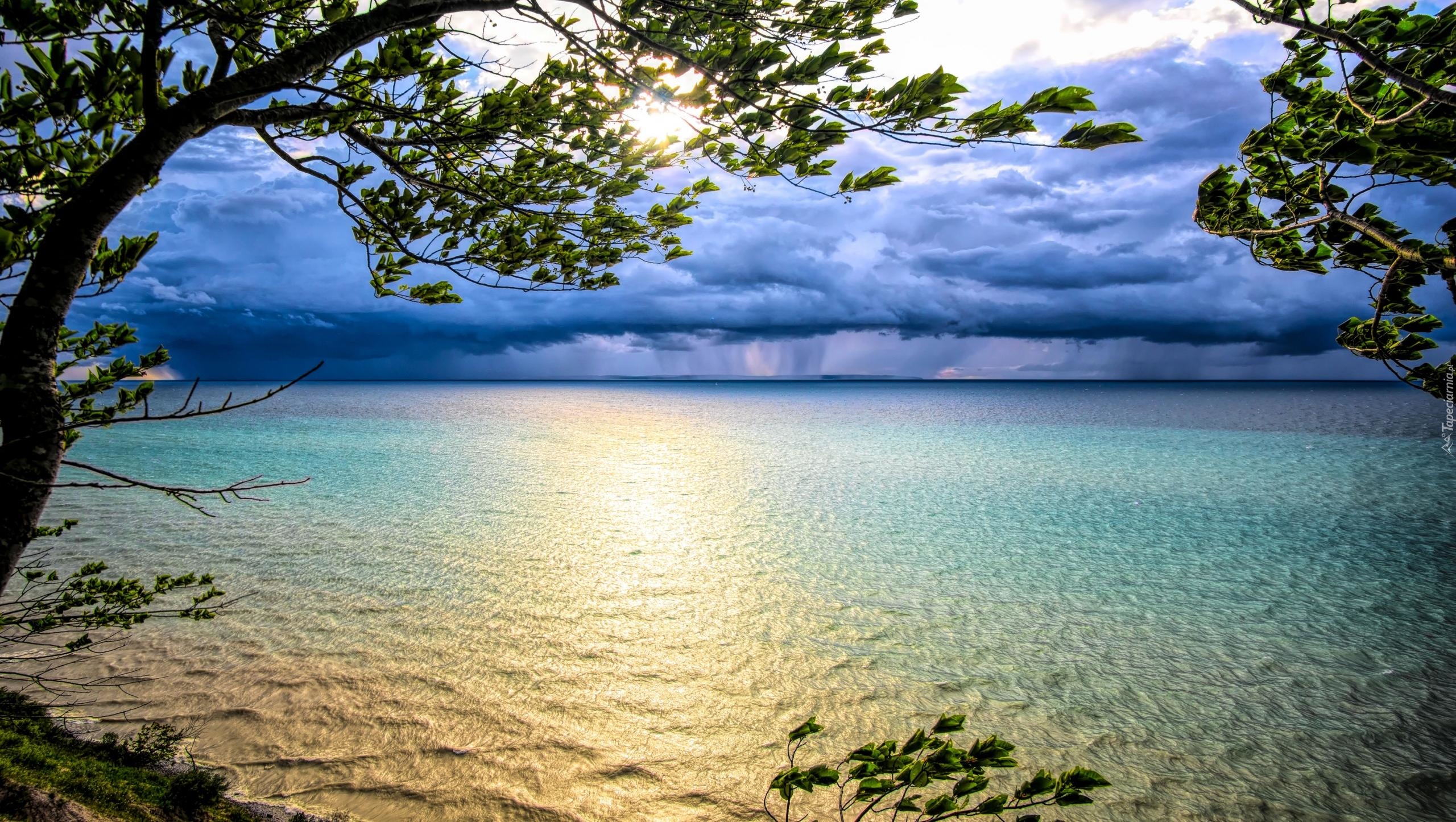 Jezioro Michigan, Drzewo, Zachód słońca, Chmury, Stany Zjednoczone