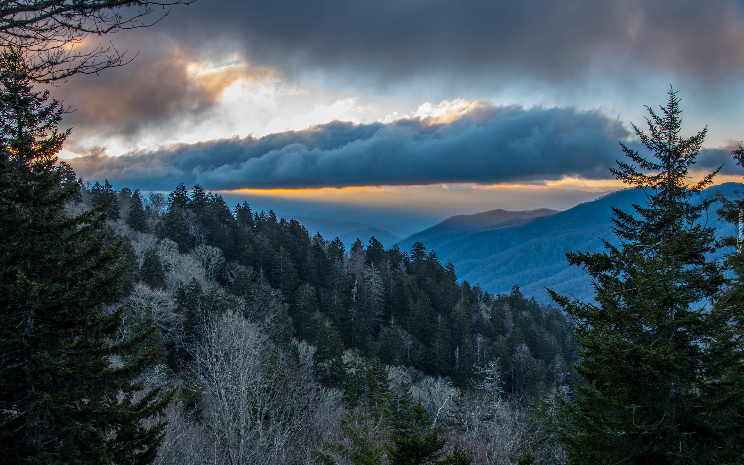 Stany Zjednoczone, Stan Karolina Północna, Park Narodowy Great Smoky Mountains, Góry, Chmury, Las
