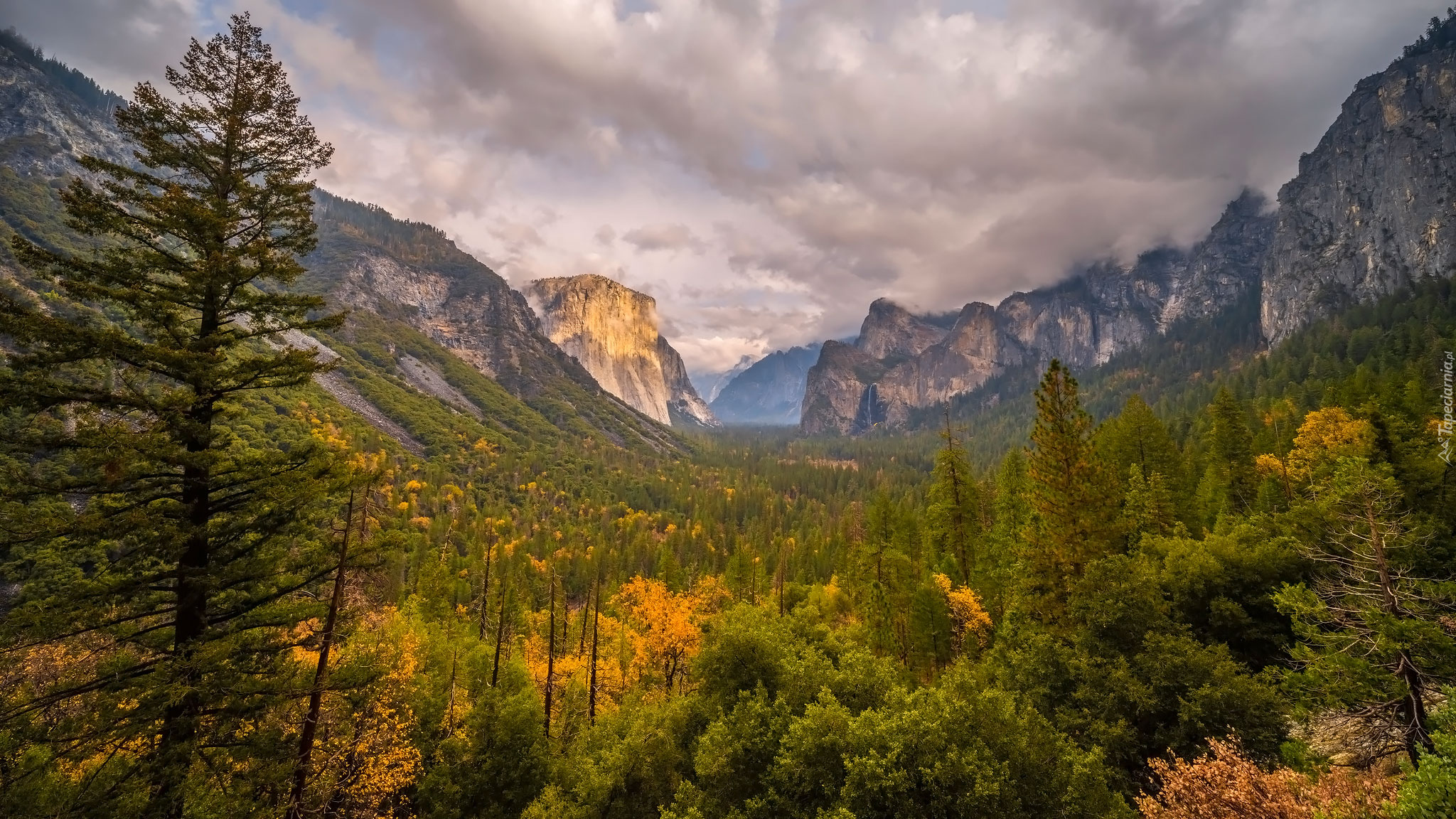 Drzewa, Góry, Chmury, Park Narodowy Yosemite, Kalifornia, Stany Zjednoczone