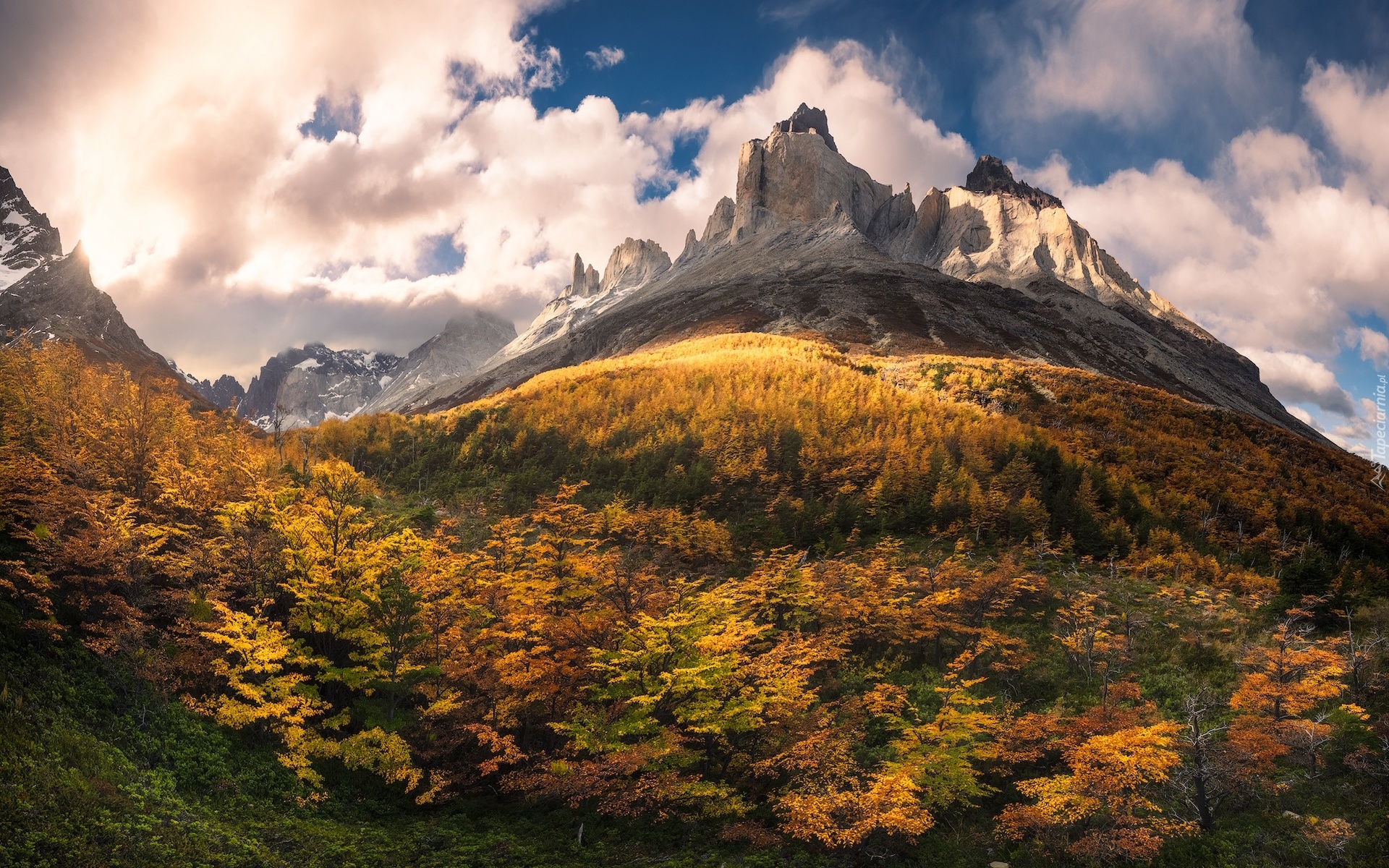 Argentyna, Patagonia, Góry, Masyw, Torres del Paine, Jesień, Chmury, Lasy