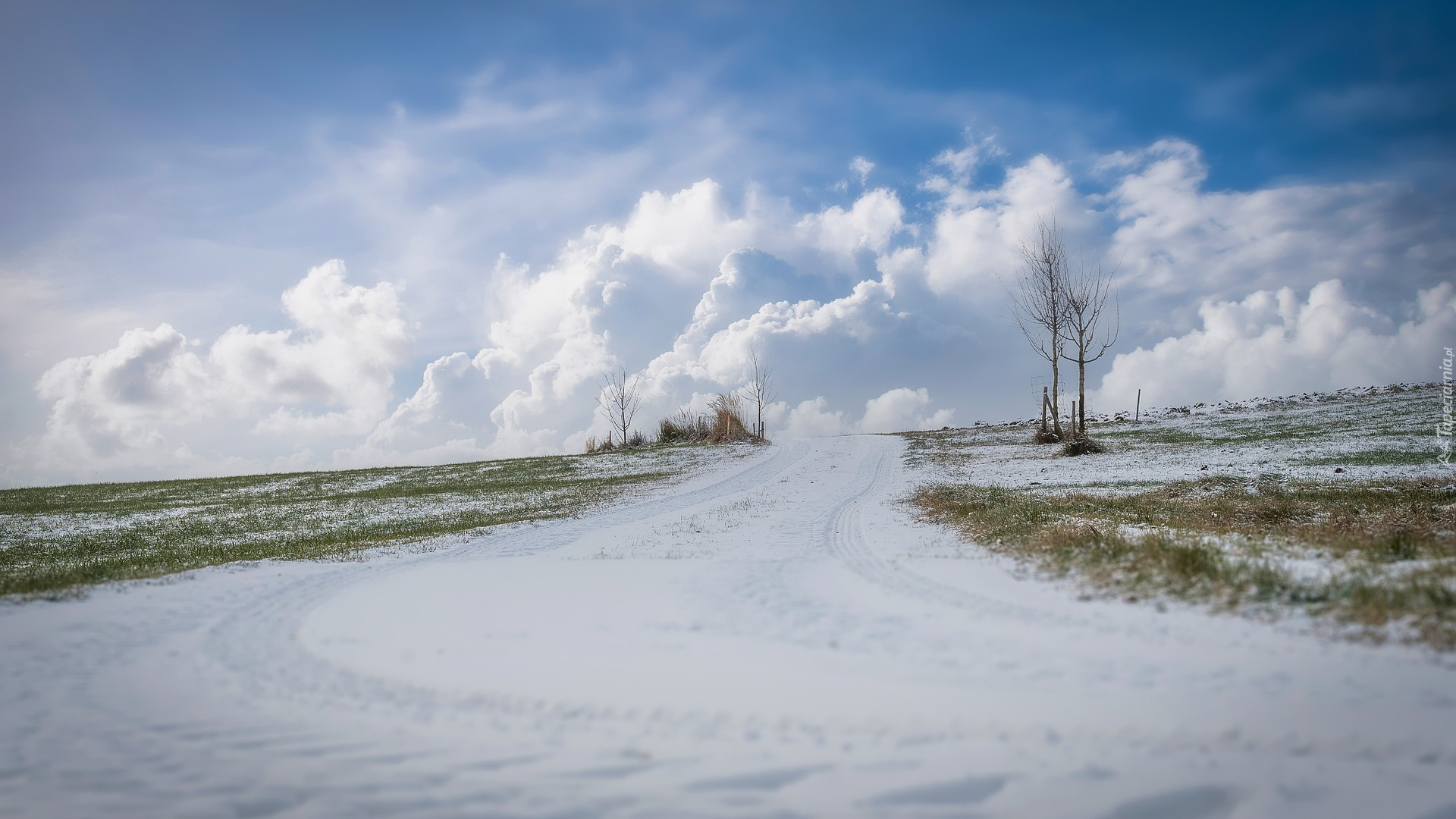 Zima, Śnieg, Droga, Drzewa, Chmury