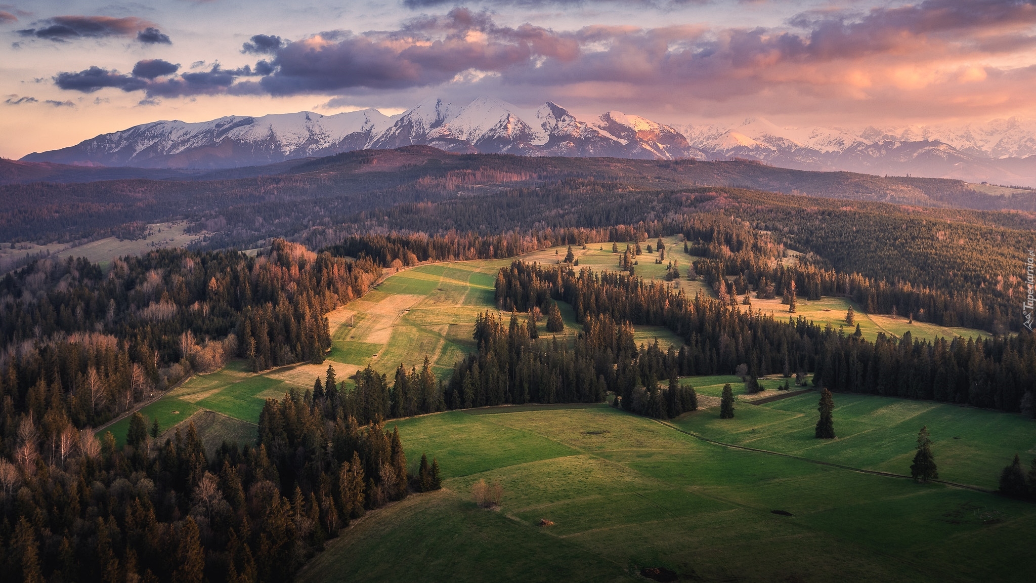 Wiosna, Drzewa, Góry, Tatry, Polska