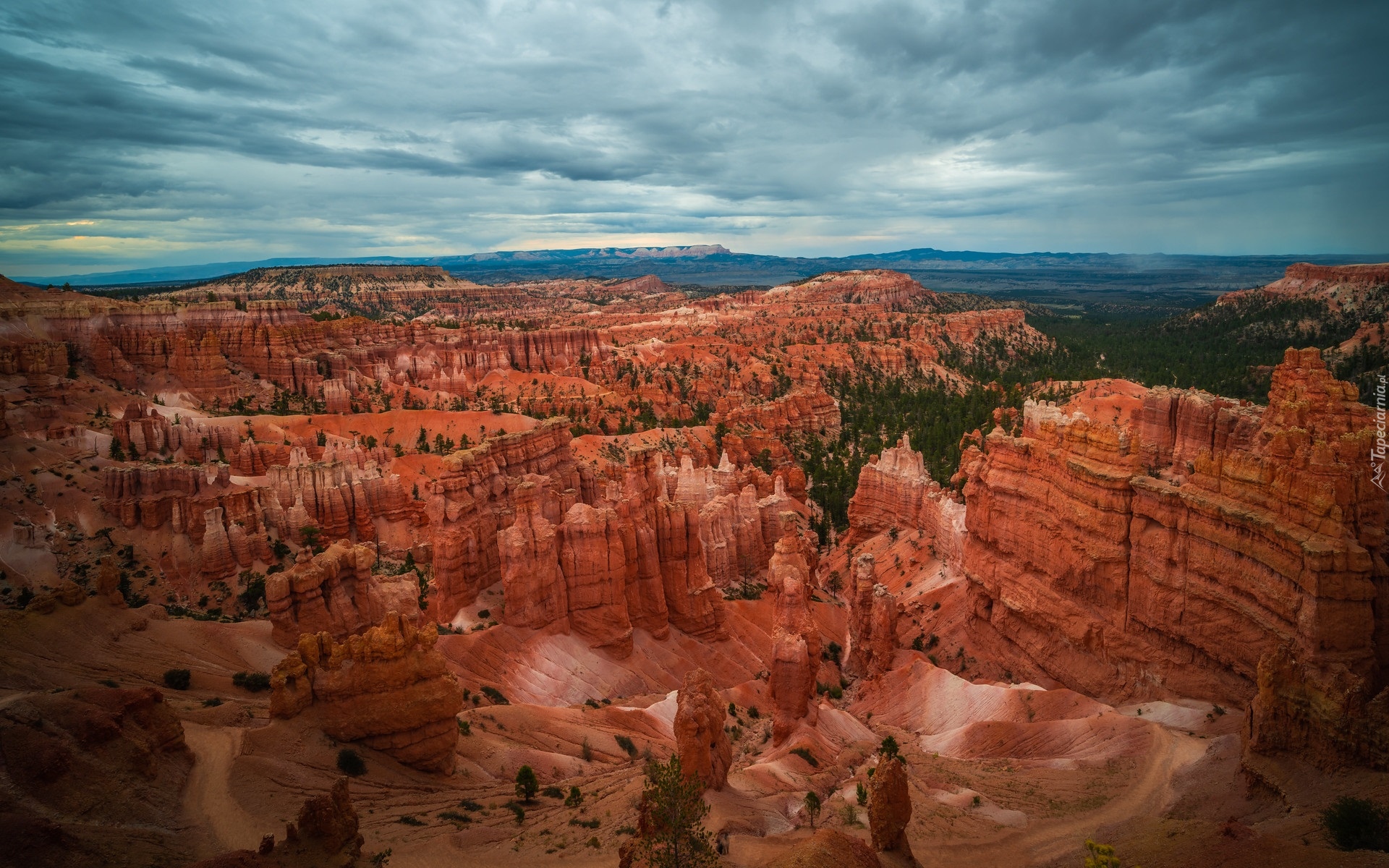 Kanion, Skały, Rośliny, Chmury, Park Narodowy Bryce Canyon, Stan Utah, Stany Zjednoczone