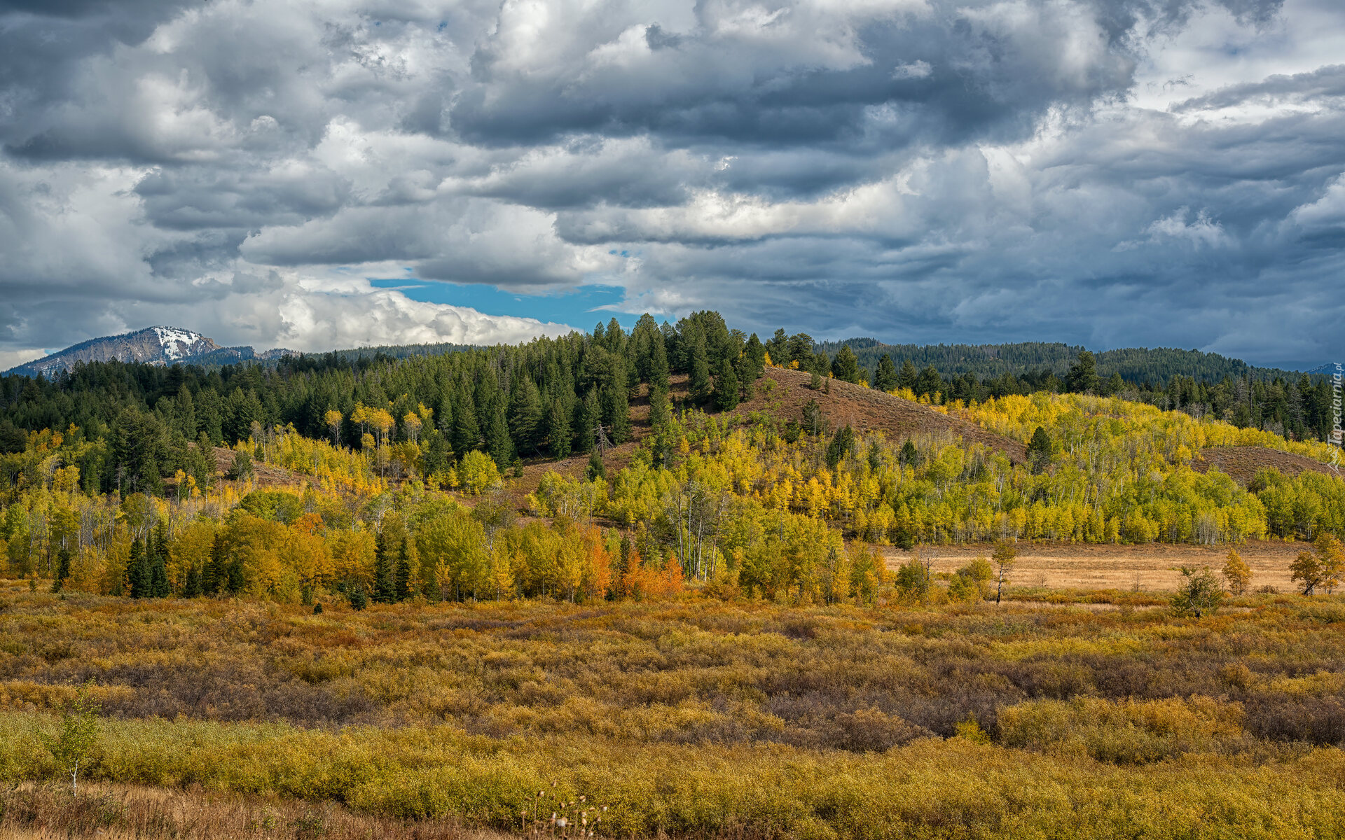 Park Narodowy Grand Teton, Góry, Teton Range, Pole, Drzewa, Chmury, Stan Wyoming, Stany Zjednoczone