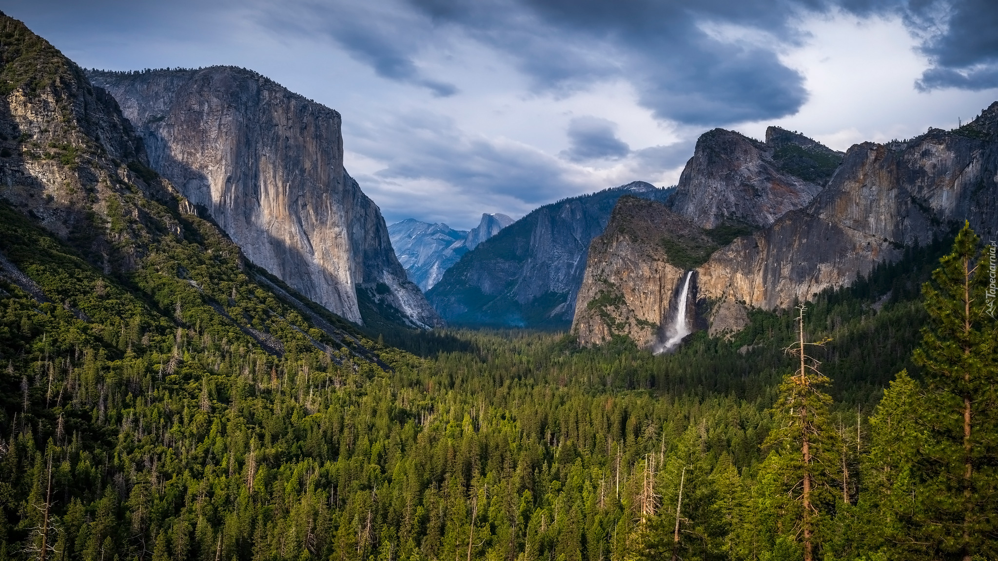 Góry, Drzewa, Wodospad, Bridalveil Fall, Park Narodowy, Yosemite, Stan Kalifornia, Stany Zjednoczone
