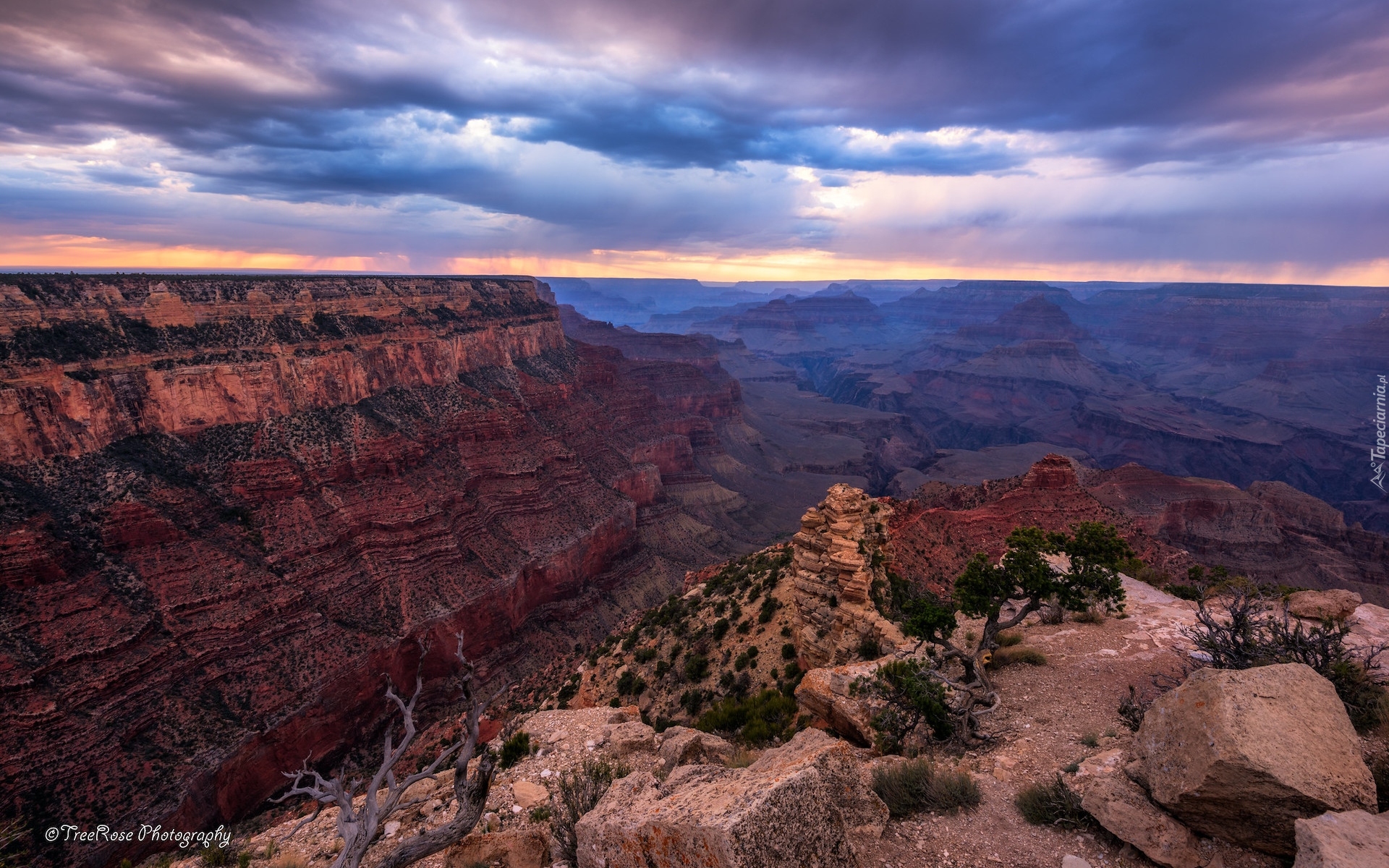 Stany Zjednoczone, Kolorado, Park Narodowy Wielkiego Kanionu, Grand Canyon, Skały, Chmury, Drzewa