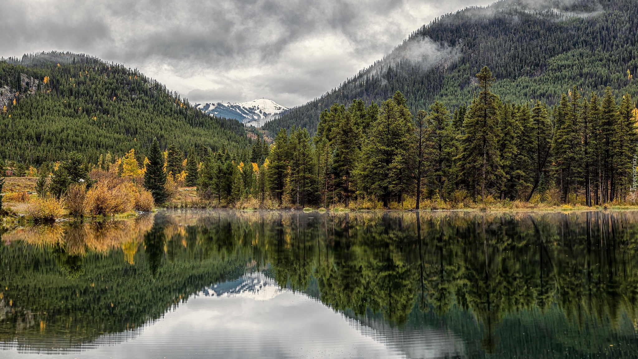 Góry Skaliste, Drzewa, Jezioro, Officers Gulch Pond, Kolorado, Stany Zjednoczone