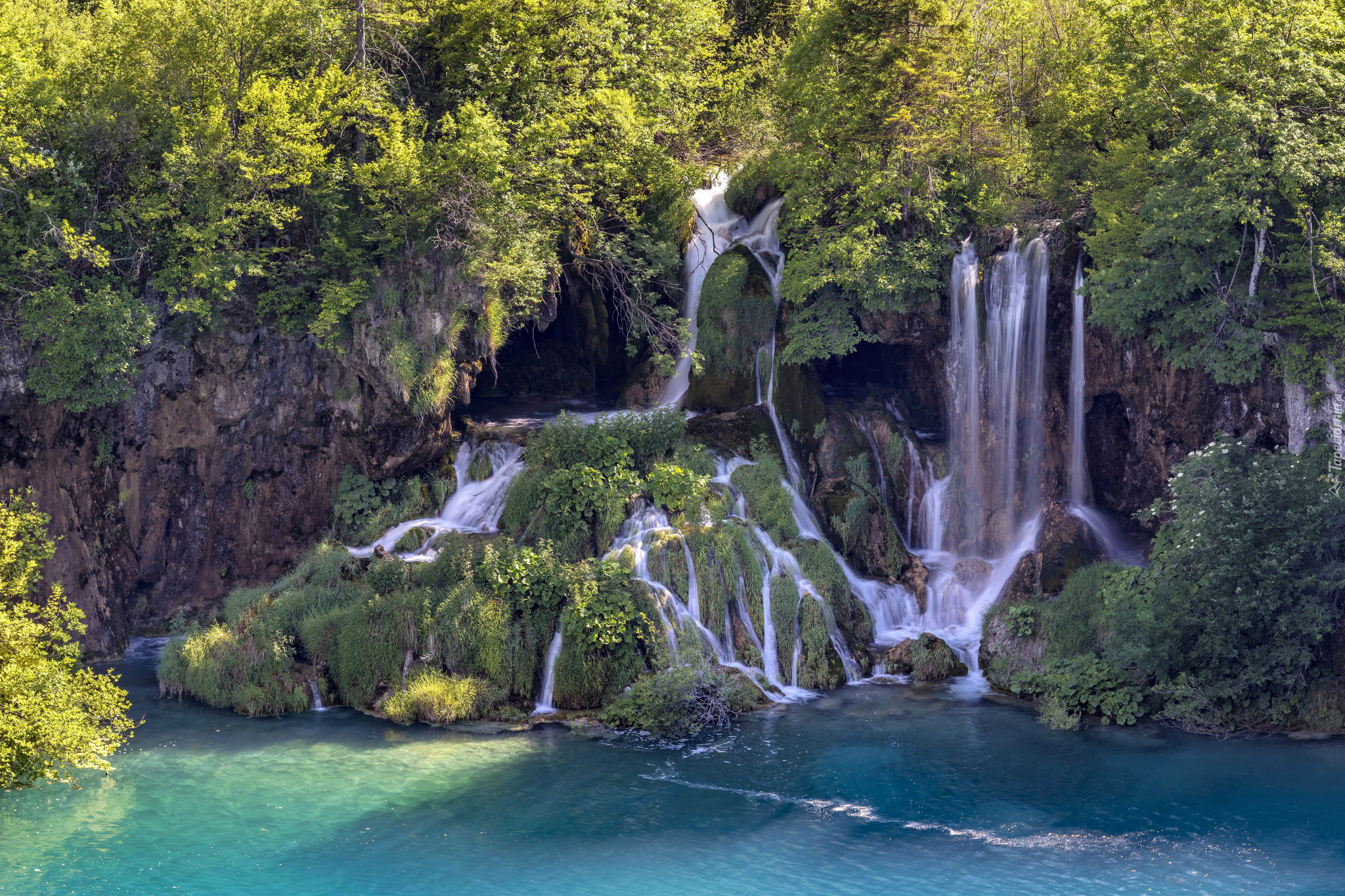 Chorwacja, Wodospad, Drzewa, Roślinność, Park Narodowy Jezior Plitwickich