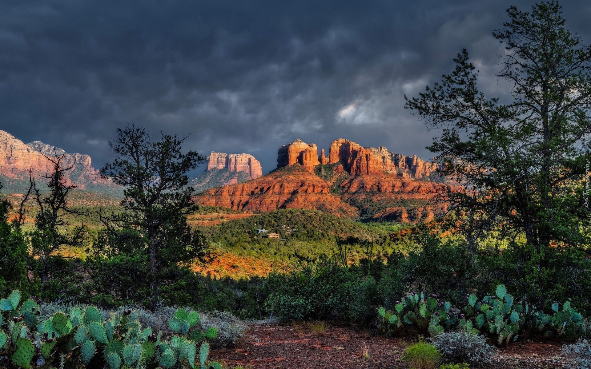 Stany Zjednoczone, Arizona, Sedona, Skały, Cathedral Rock, Drzewa, Chmury, Kaktusy