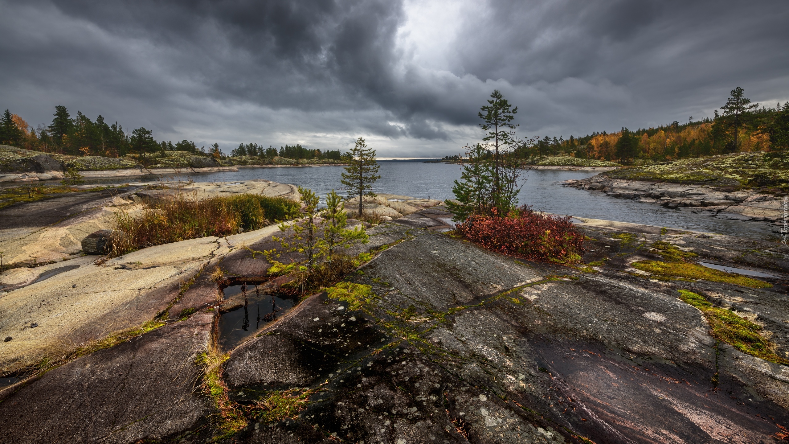 Rosja, Jezioro, Ładoga, Skały, Drzewa, Ciemne, Chmury, Jesień