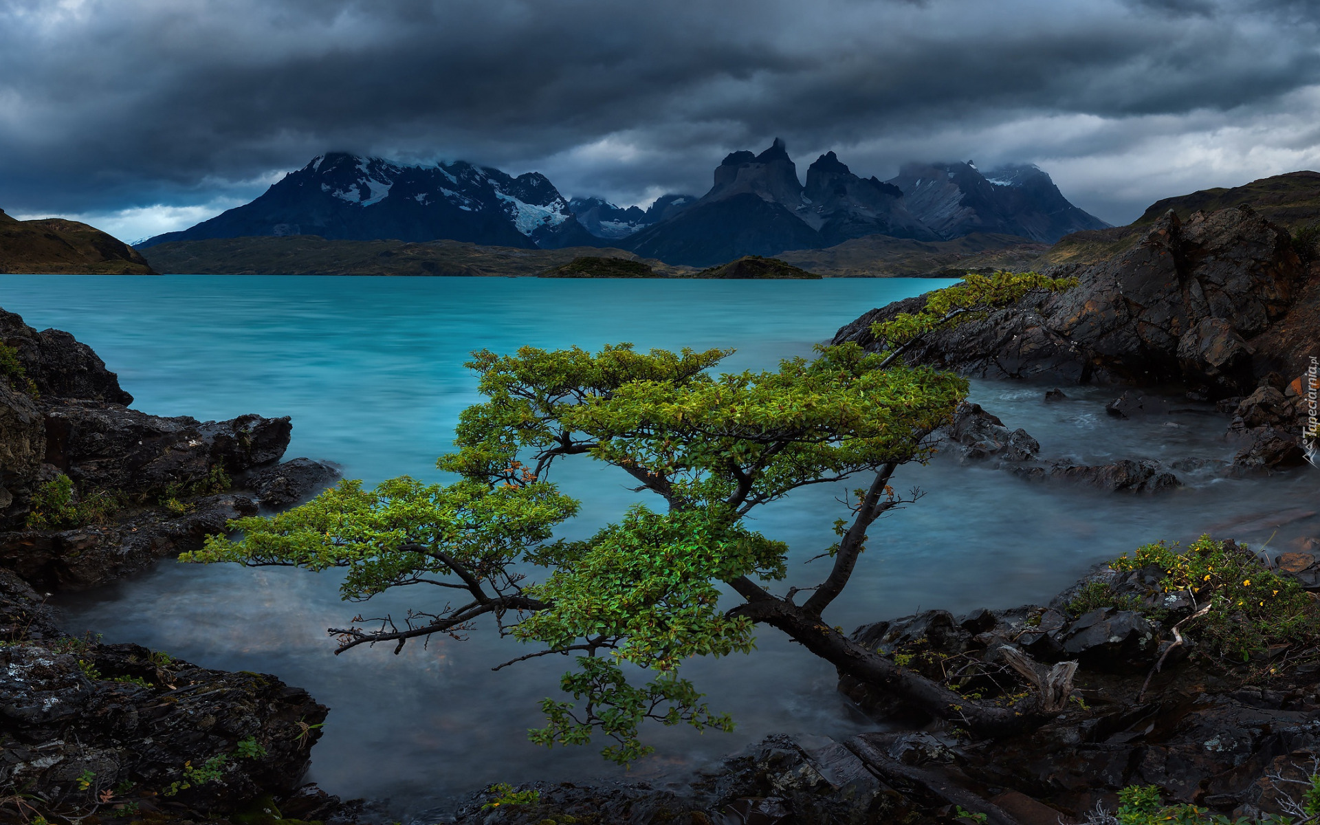 Góry, Andy, Chmury, Jezioro, Lake Pehoe, Kamienie, Park Narodowy Torres del Paine, Drzewa, Cordillera Paine, Patagonia, Chile