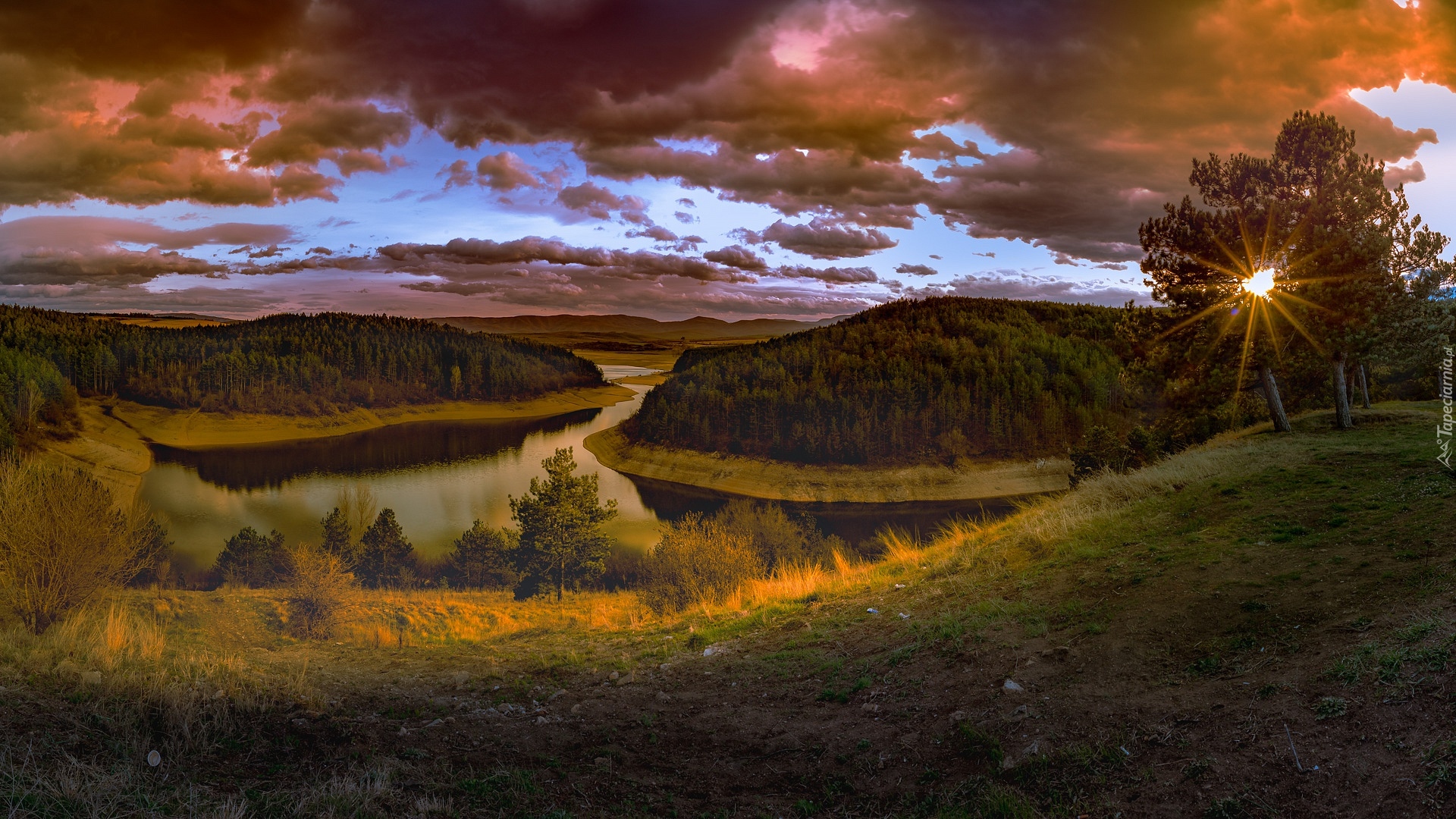 Las, Drzewa, Jezioro, Trawa, Promienie słońca, Zachód słońca, Wieczór, Chmury