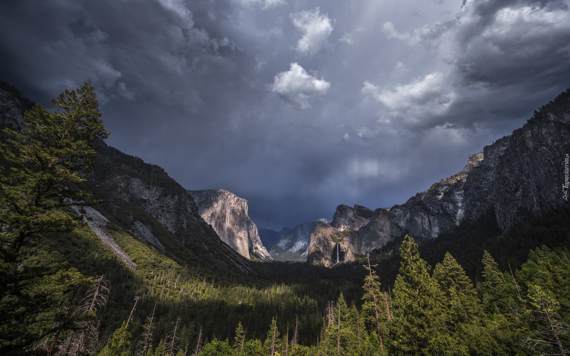 Stany Zjednoczone, Kalifornia, Park Narodowy Yosemite, Drzewa, Las, Góry, Pochmurne, Niebo, Chmury