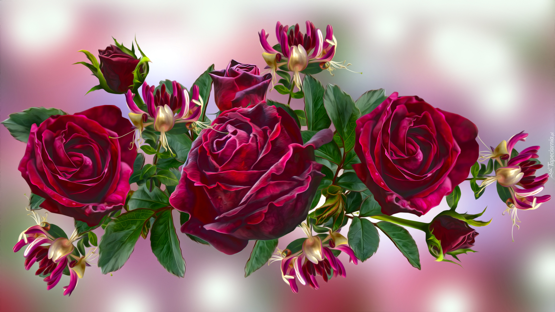 Kwiaty, Ciemnoczerwone, Róże, Grafika