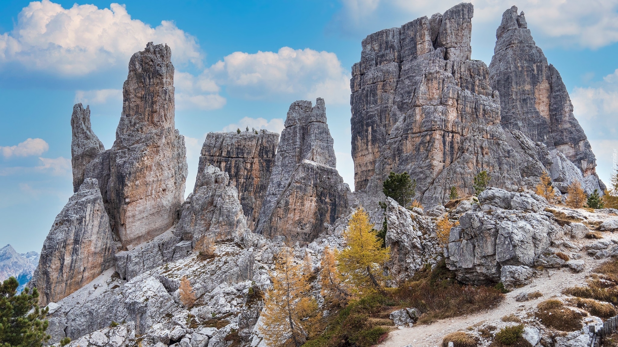 Góry, Dolomity, Skały, Cinque Torri, Drzewa, Włochy