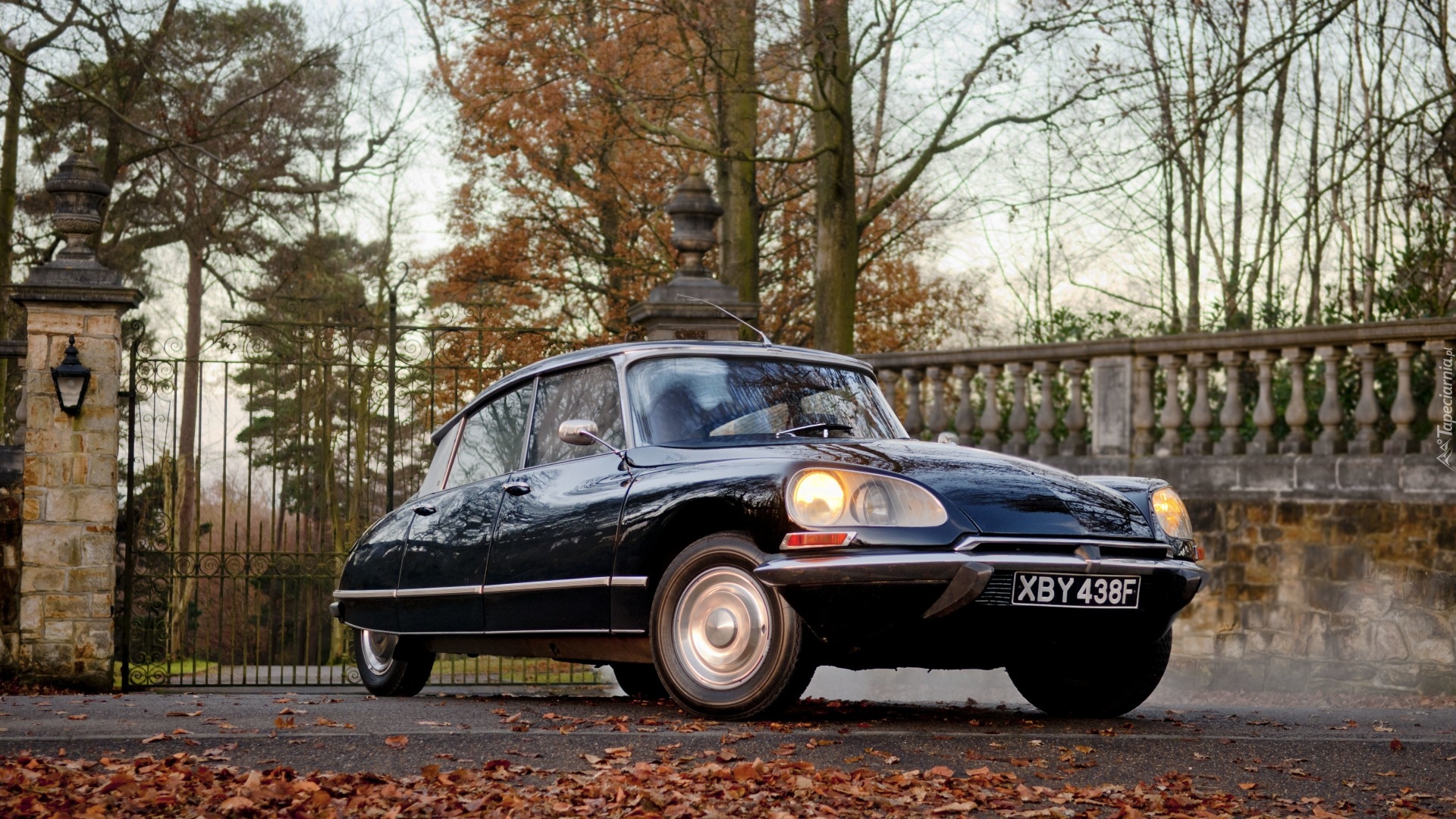 Zabytkowy, Citroen DS 20 Pallas, 1969