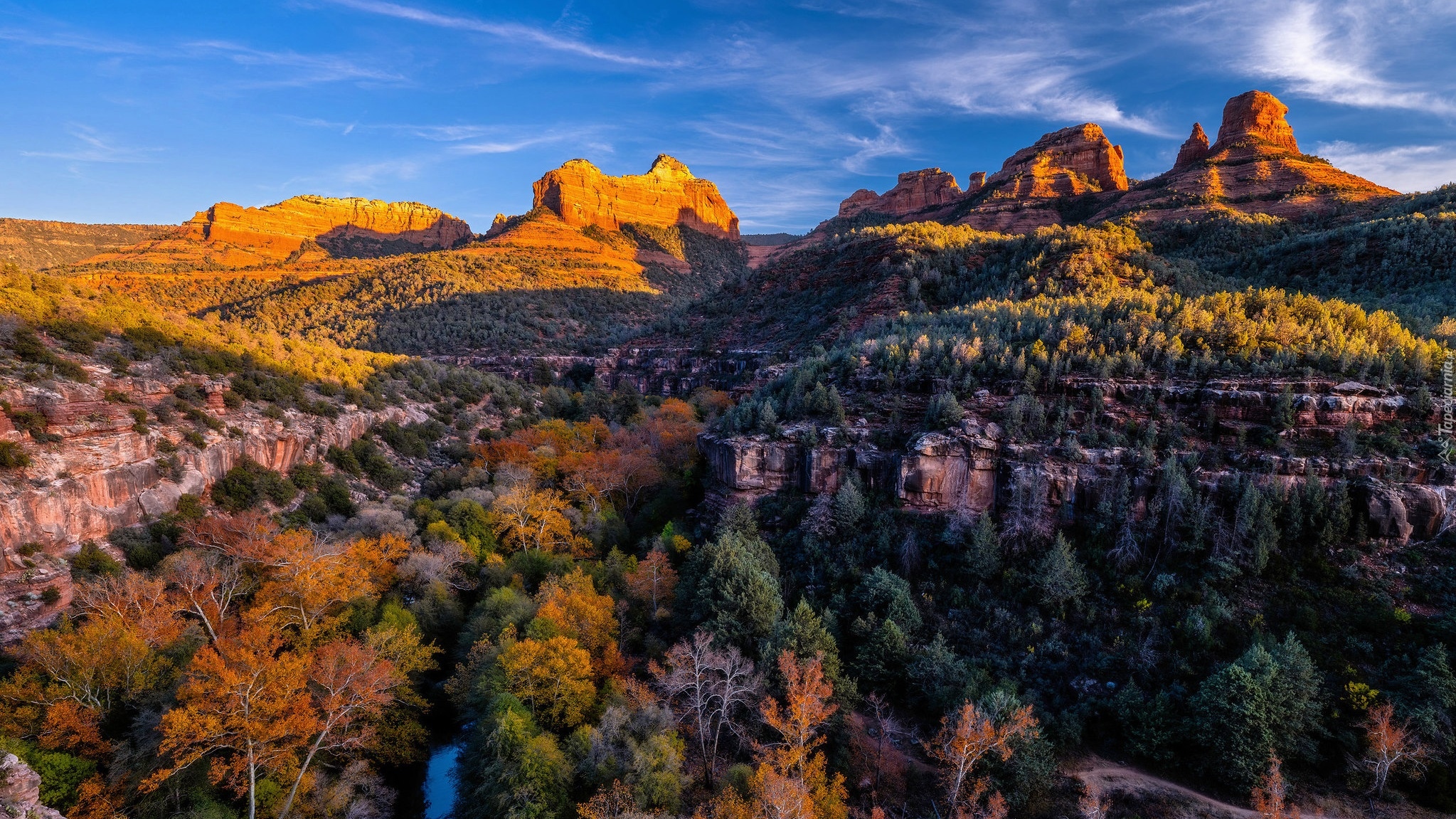 Jesień, Góry, Skały, Kolorowe, Drzewa, Kanion, Creek Canyon, Arizona, Stany Zjednoczone