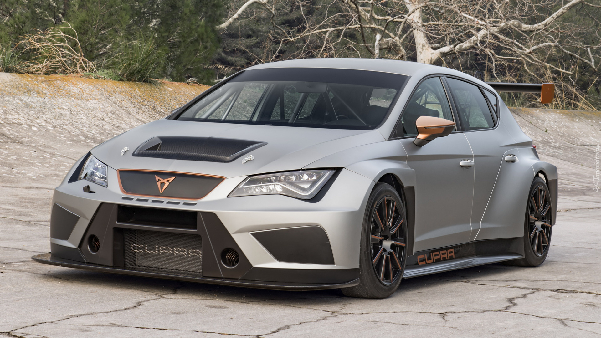 Cupra TCR, 2018