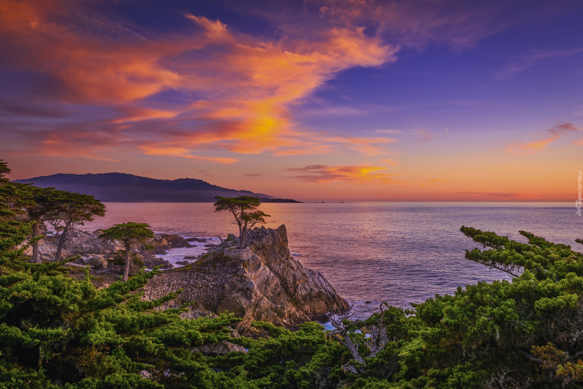 Skały, Drzewa, Cyprysy, Zachód słońca, Pebble Beach, Atrakcja, Lone Cypress, Zatoka, Carmel Bay, Morze, Kalifornia, Stany Zjednoczone