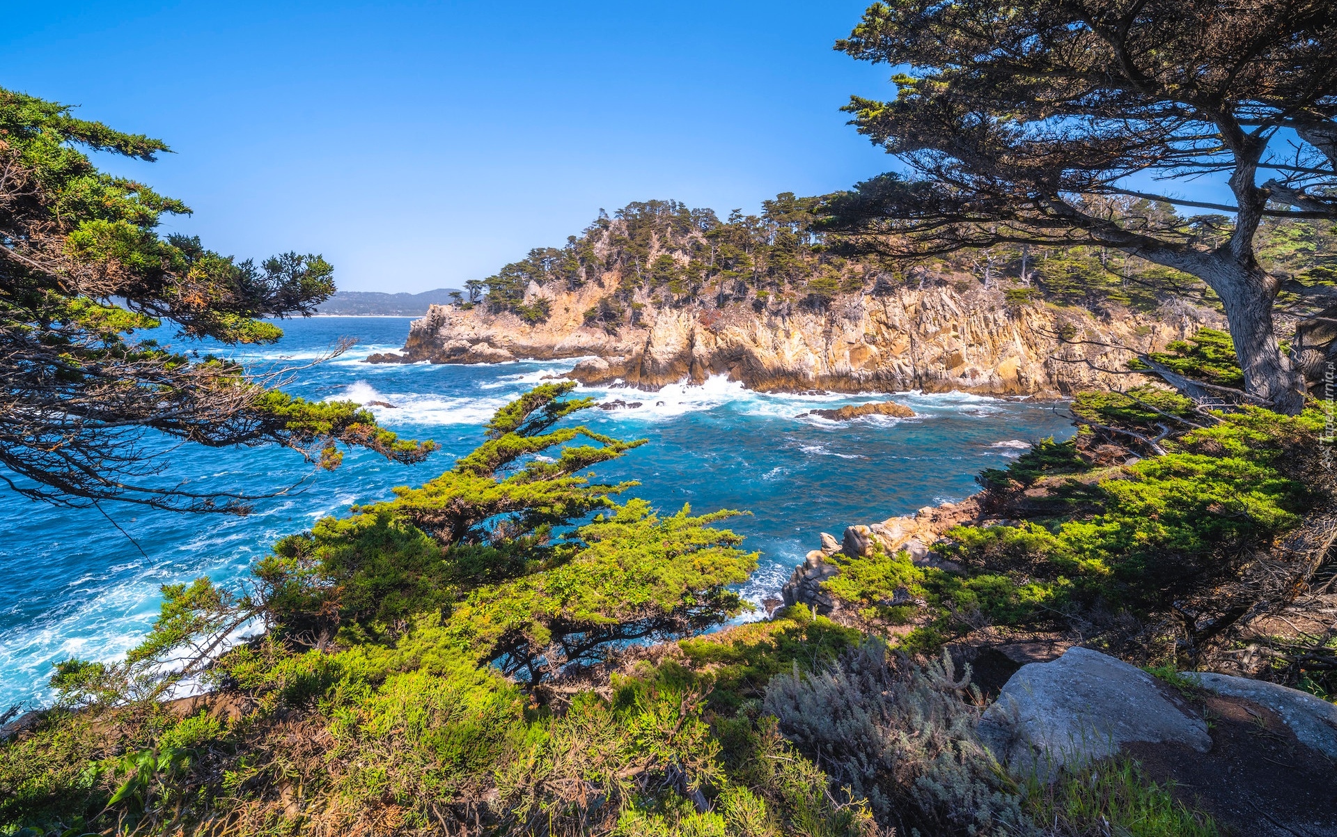 Morze, Skały, Drzewa, Cyprysy, Rezerwat przyrody, Point Lobos, Kalifornia, Stany Zjednoczone