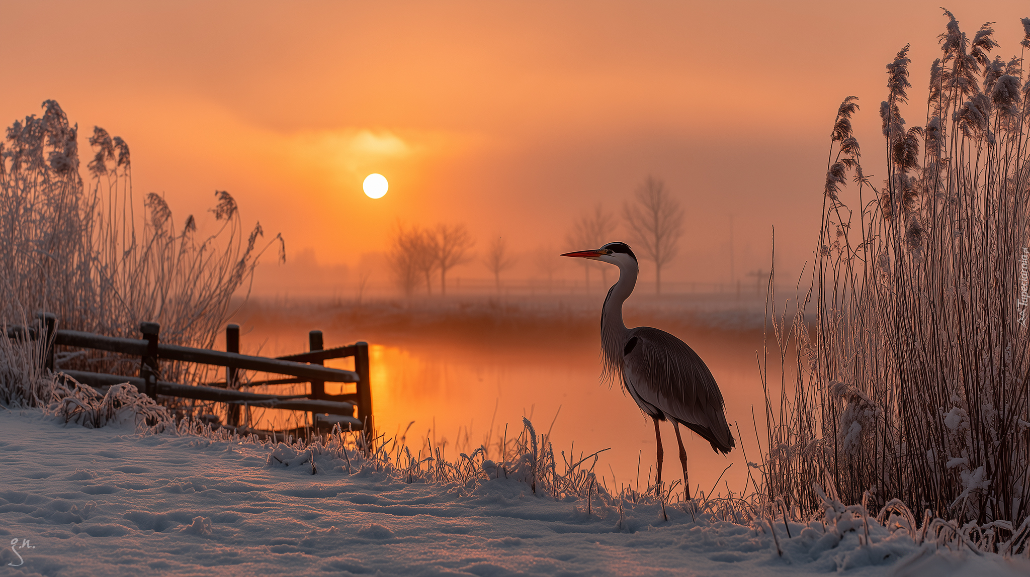 Czapla, Jezioro, Szuwary, Trzciny, Zima, Zachód słońca, Grafika AI